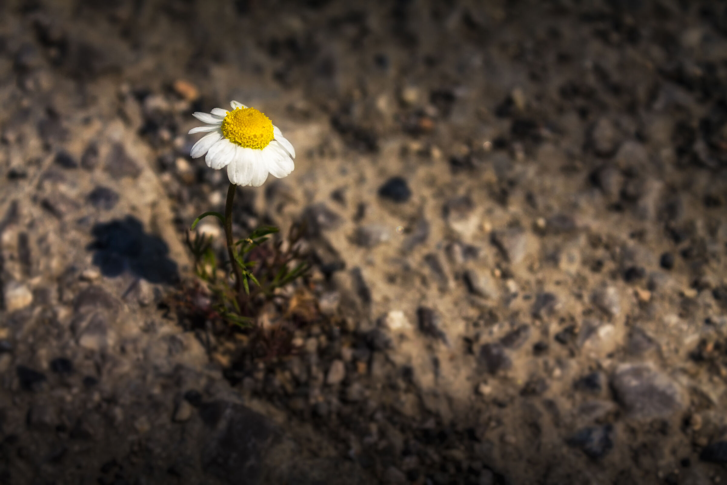 The power of nature.