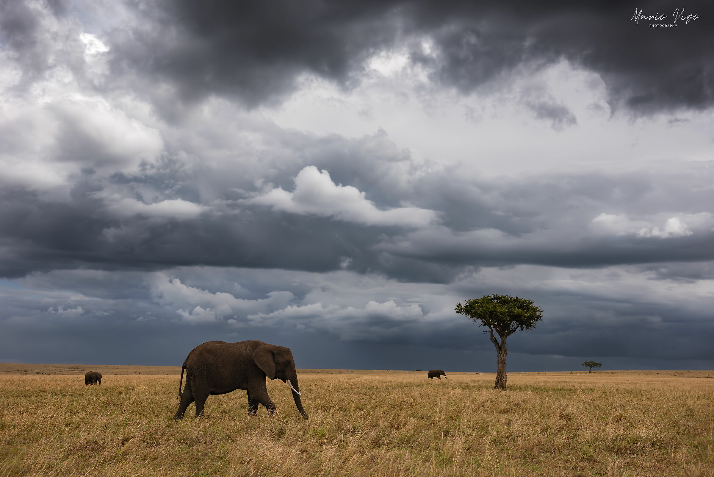 The sky of Africa