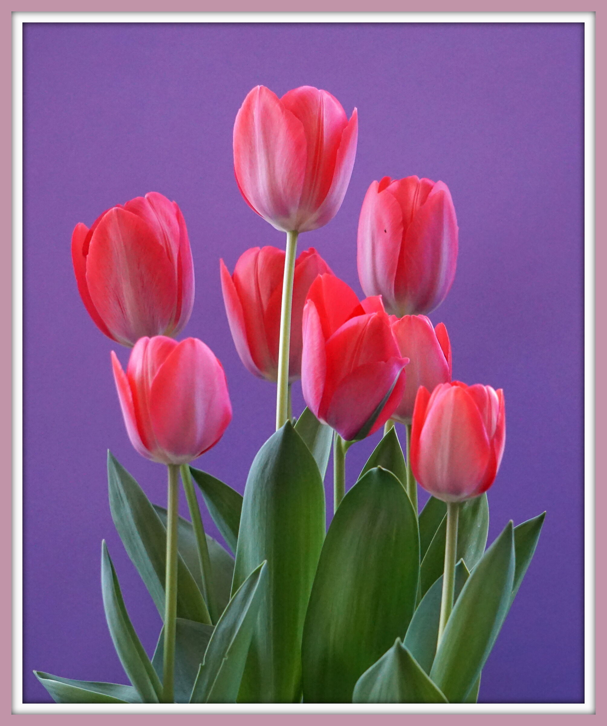 For those who do not give up