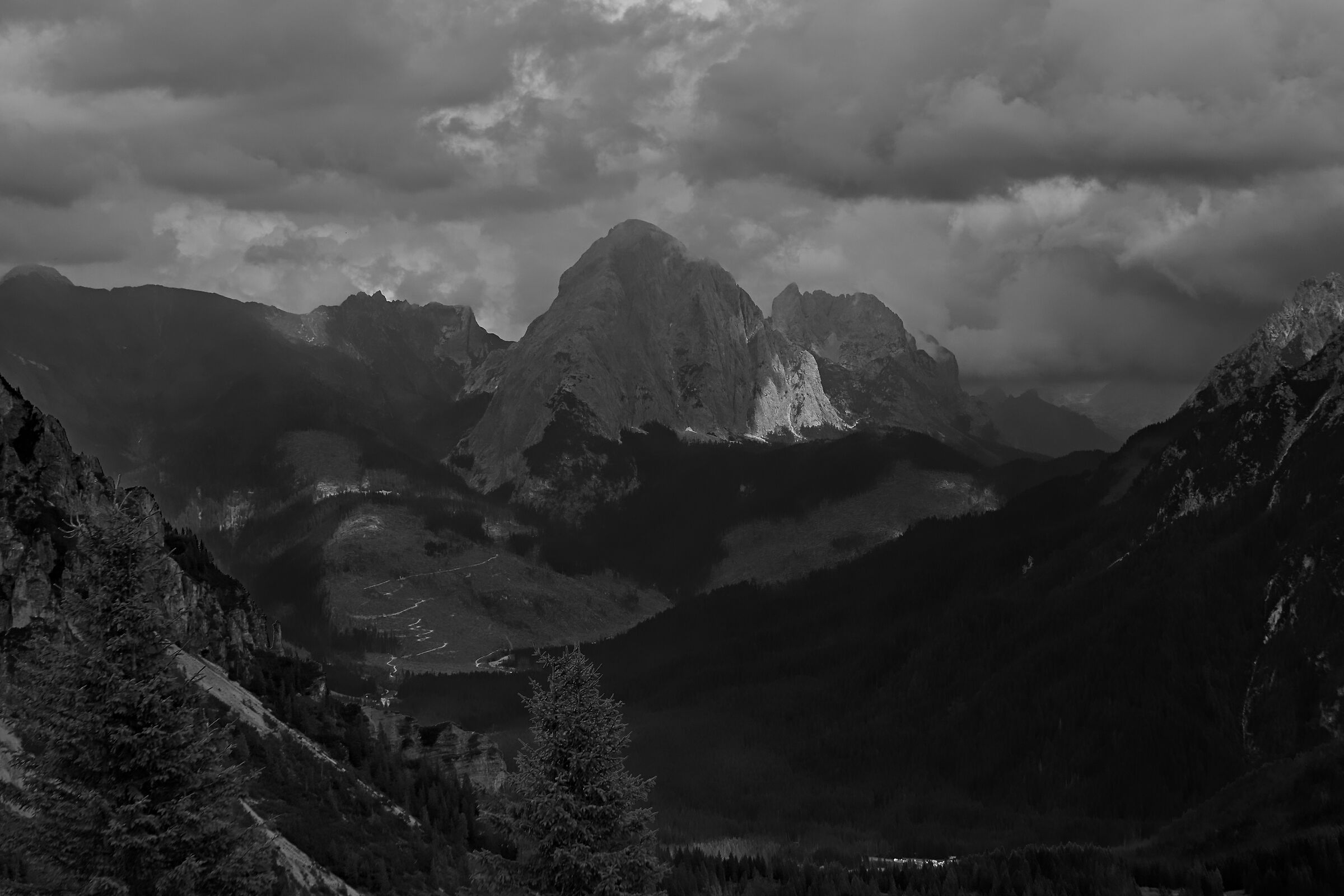 Val Visdende, Peralba after Vaia (summer 2019)