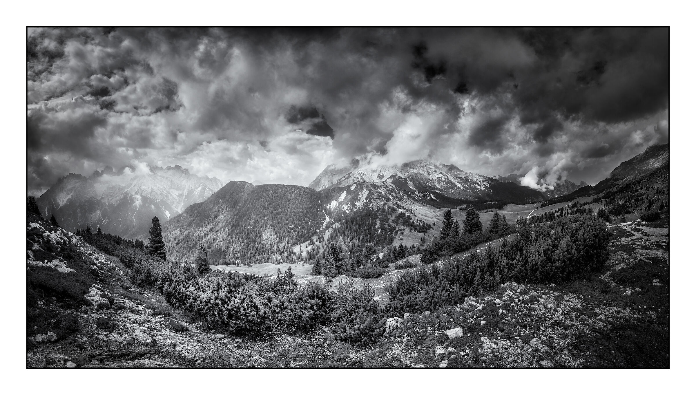 Climbing Mount Species