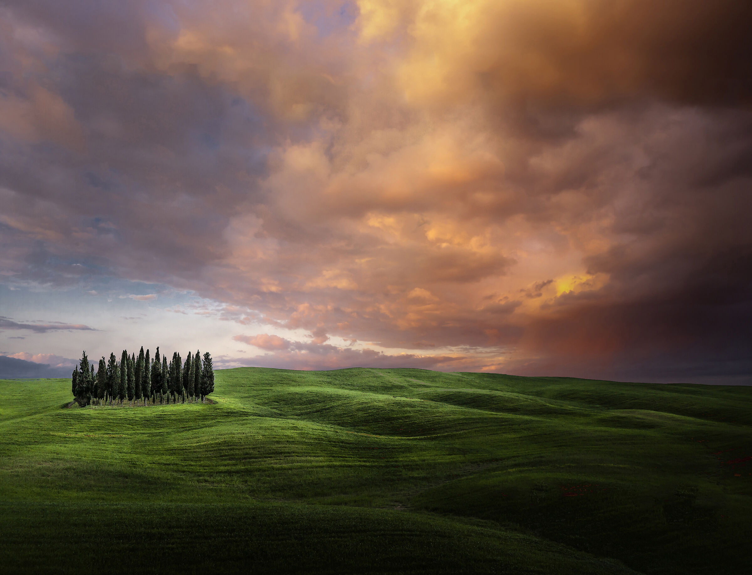 The wonderful colors on tuscany