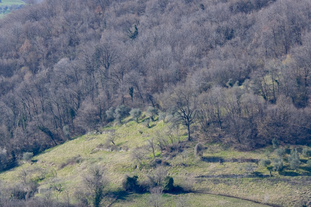 colline marostica 2 (vi)