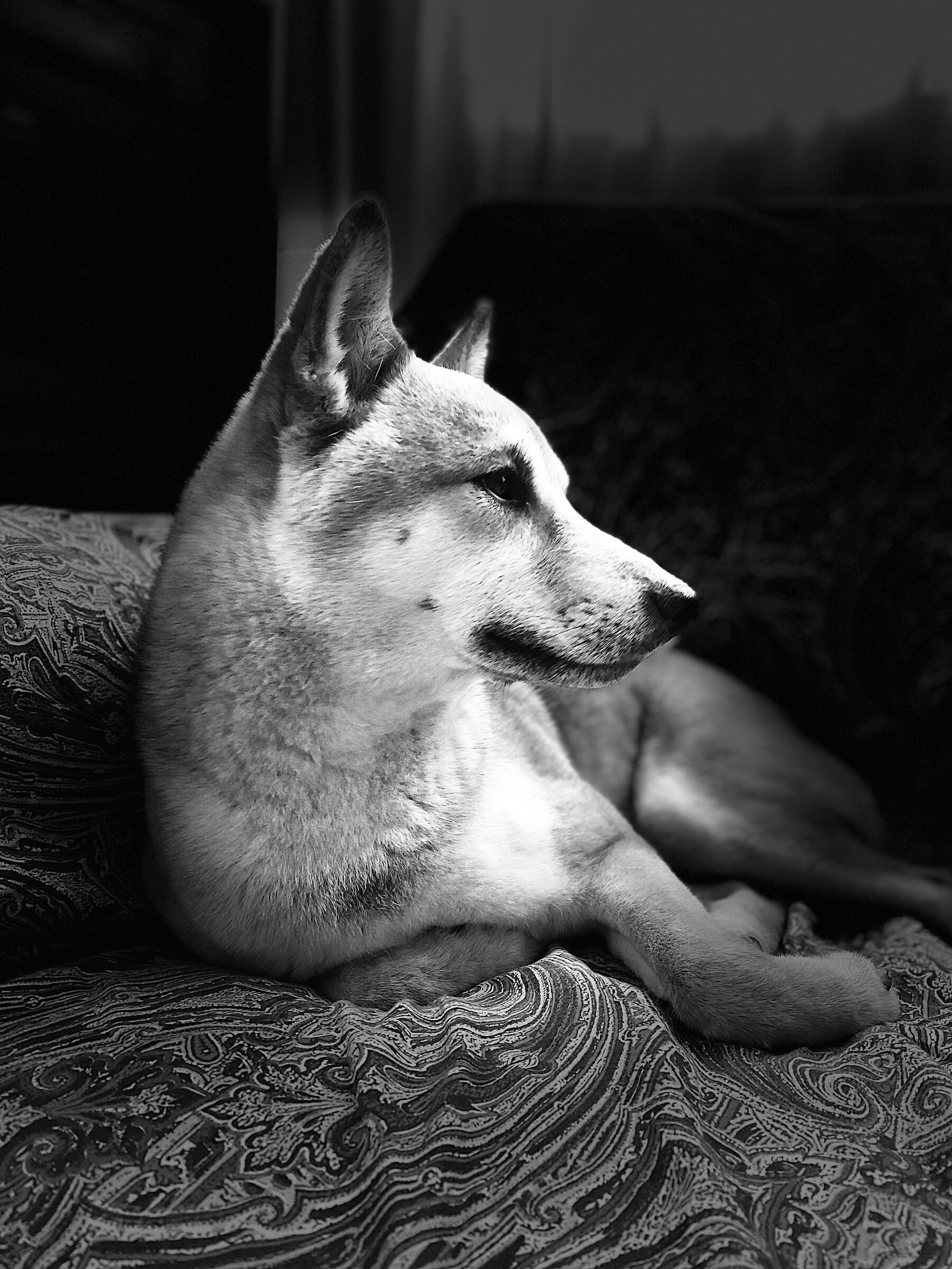 Kiro