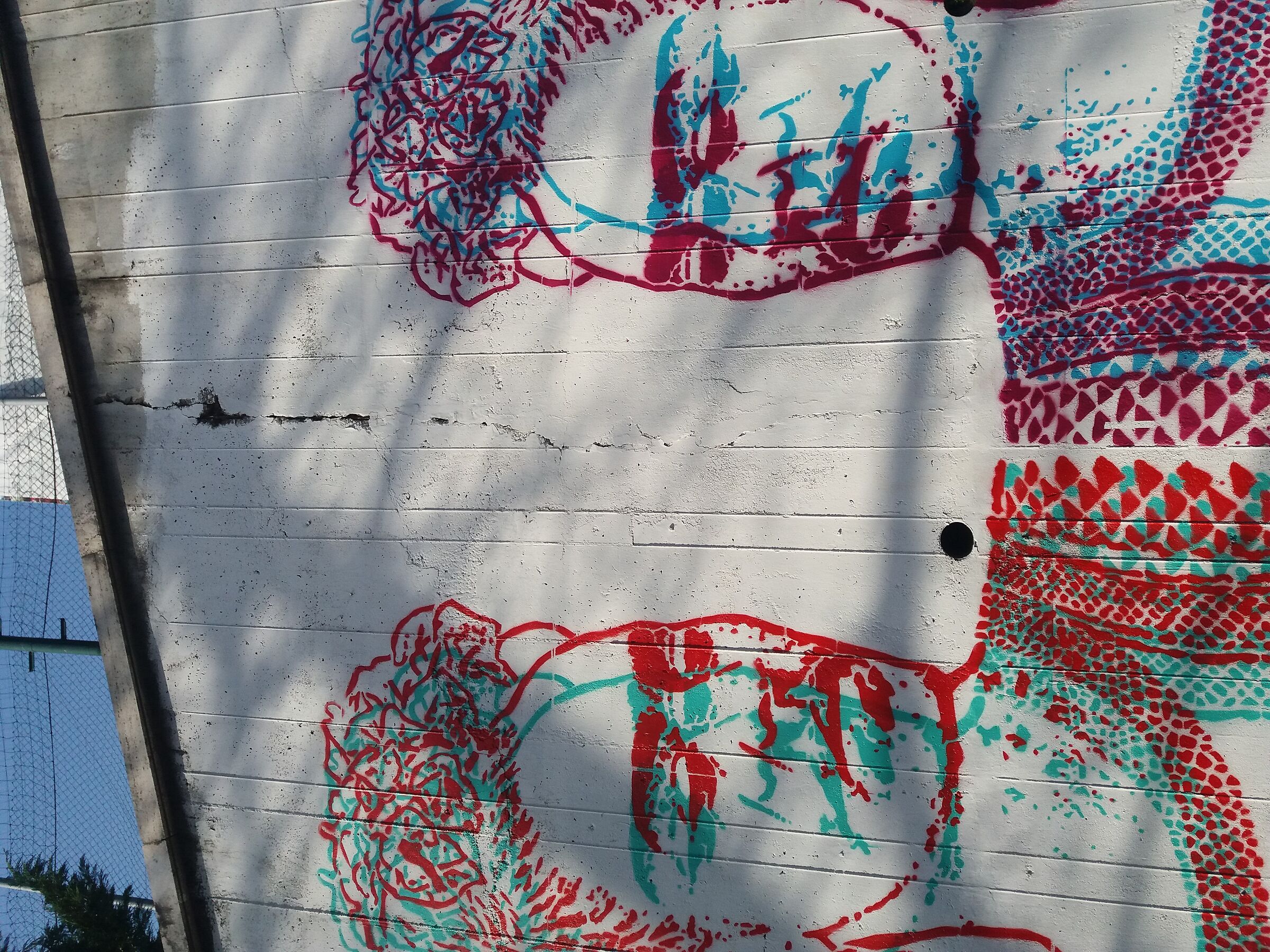 Untitled Photo