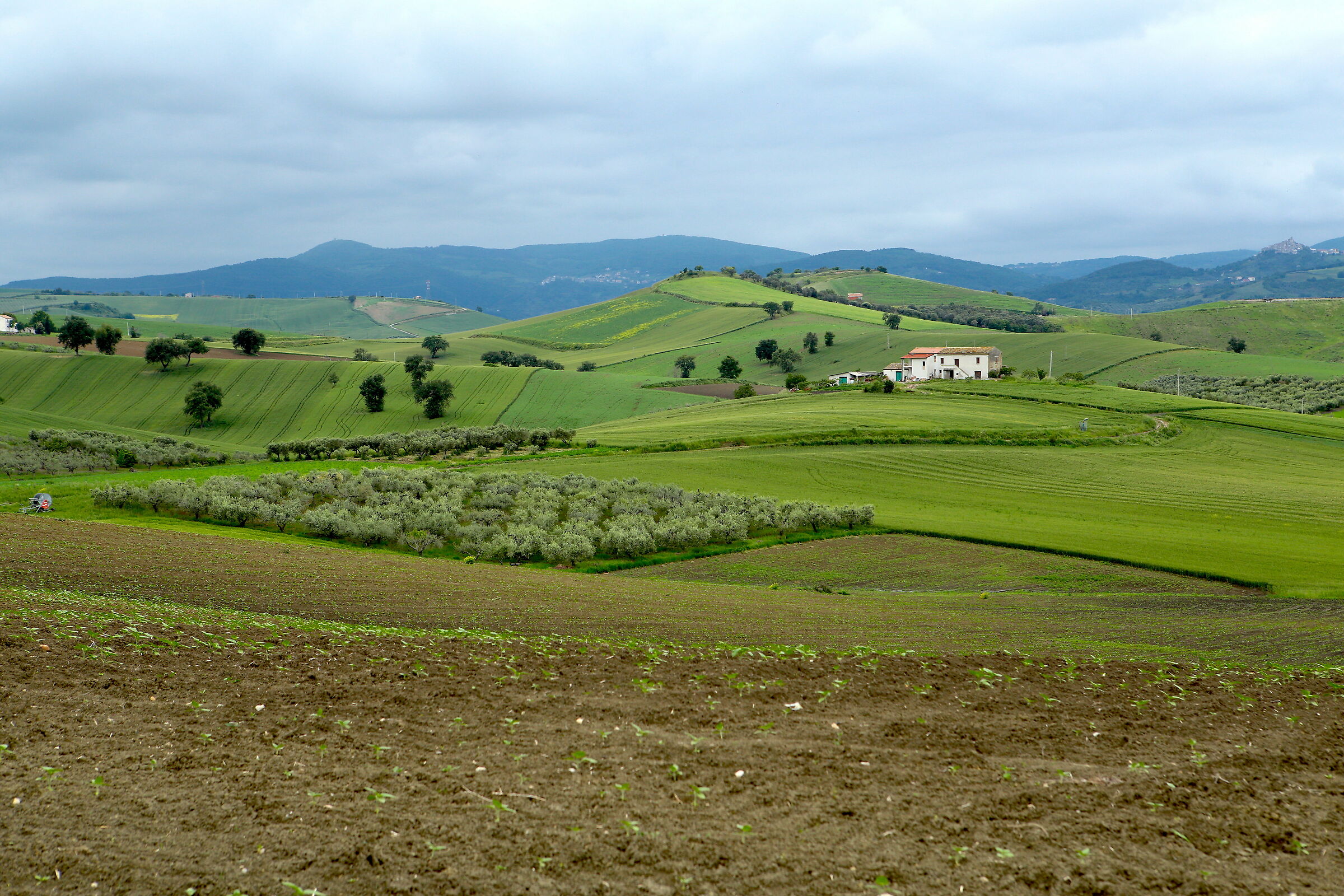 Agro di Monenero di Bisaccia(CB)