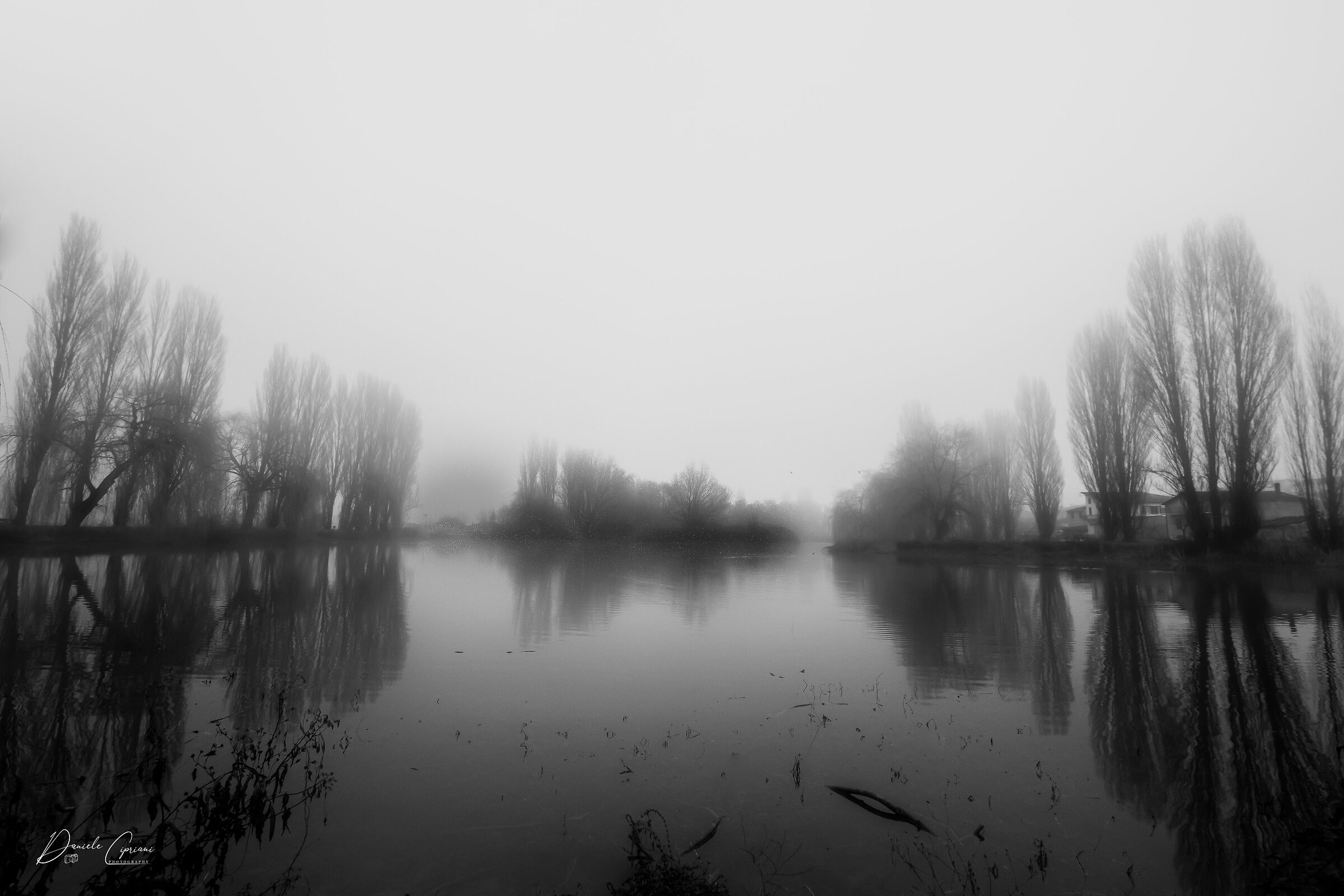 Black and white reflections