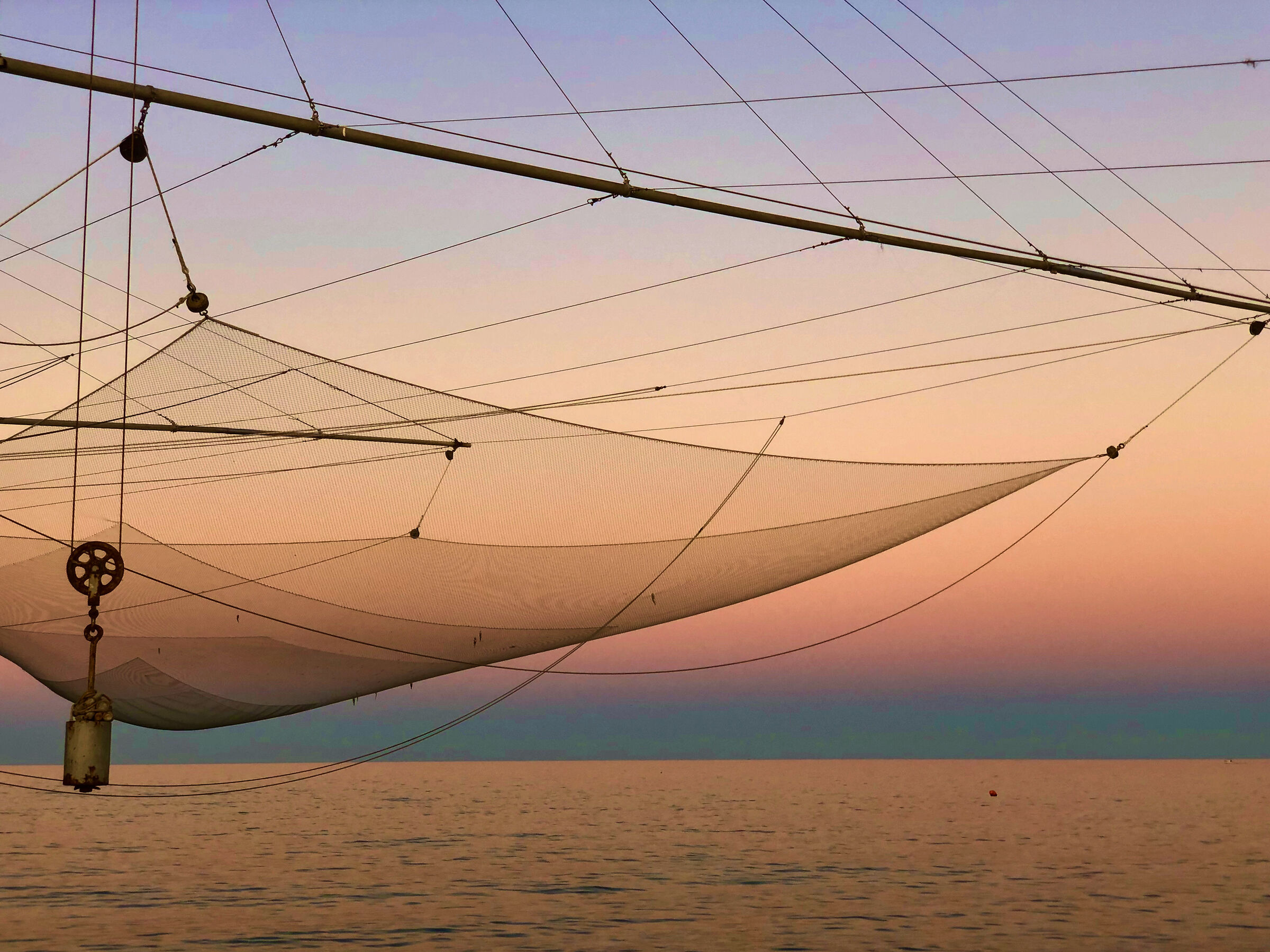 The Network of Dreams