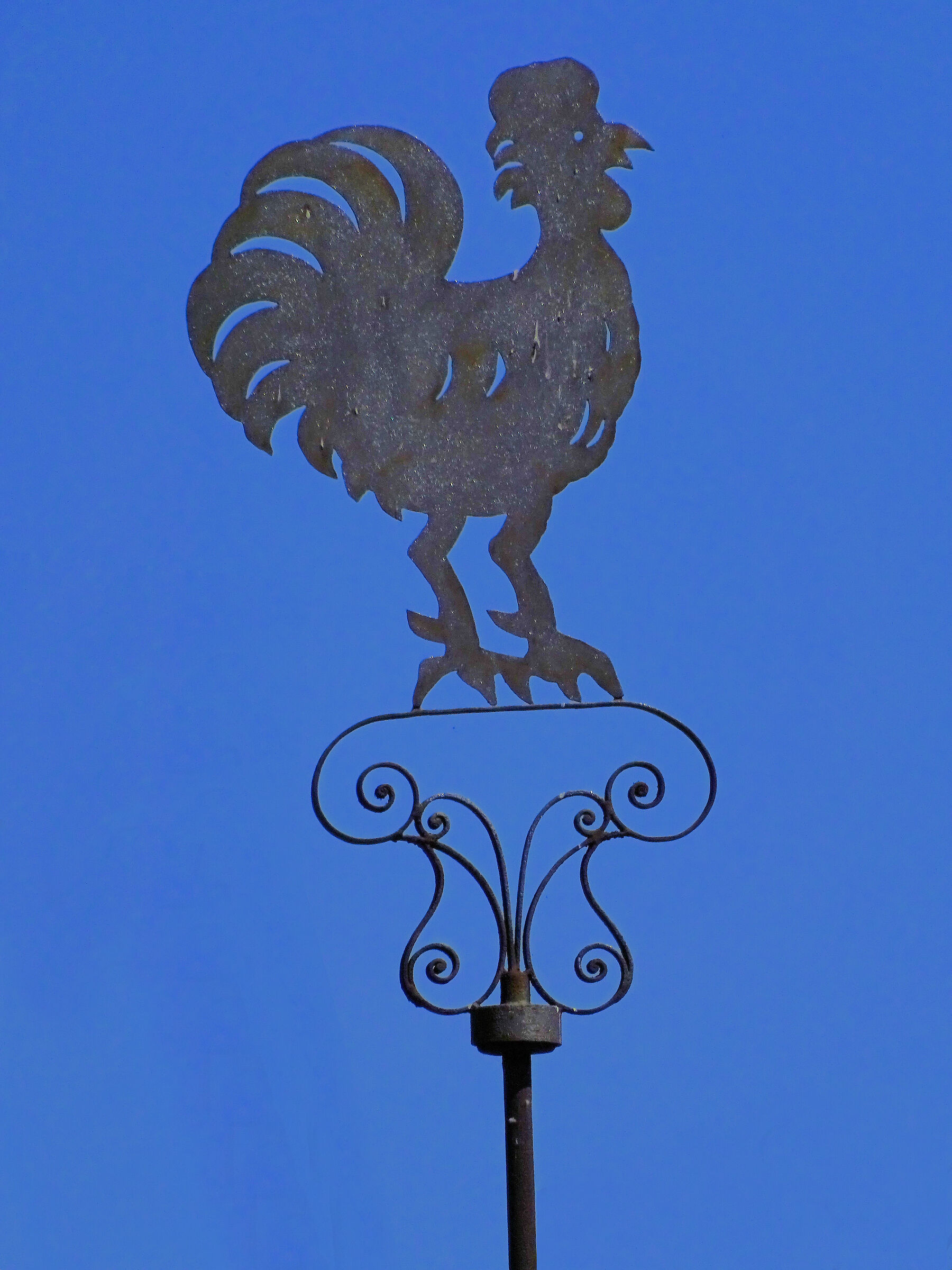 Galletto Segnavento!