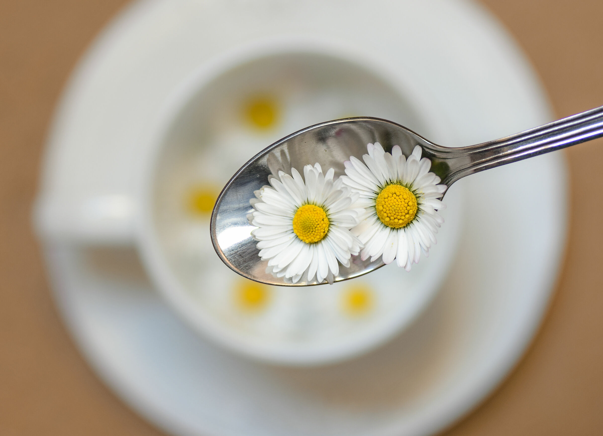 Taste of spring