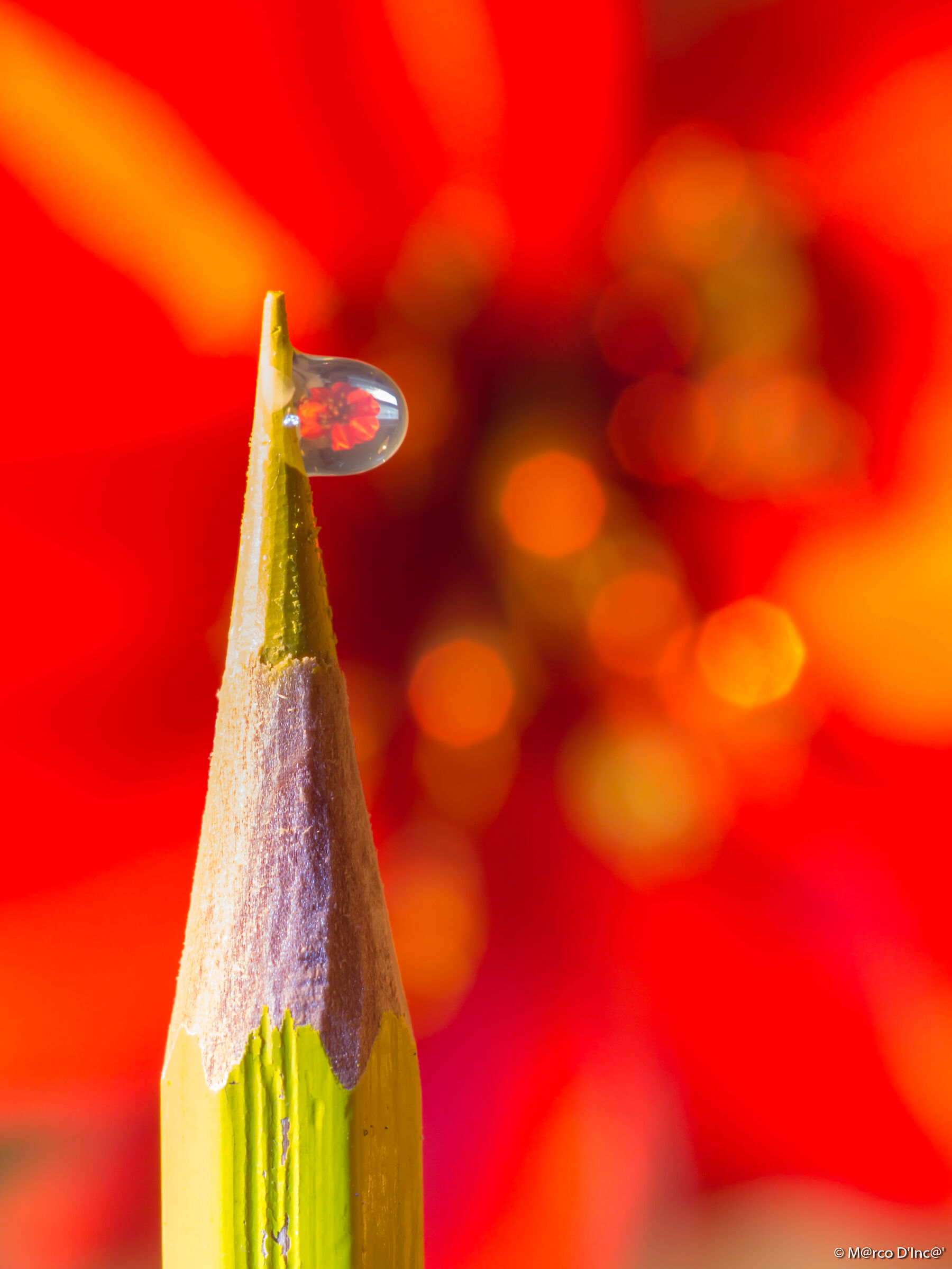the flower inside the water drop