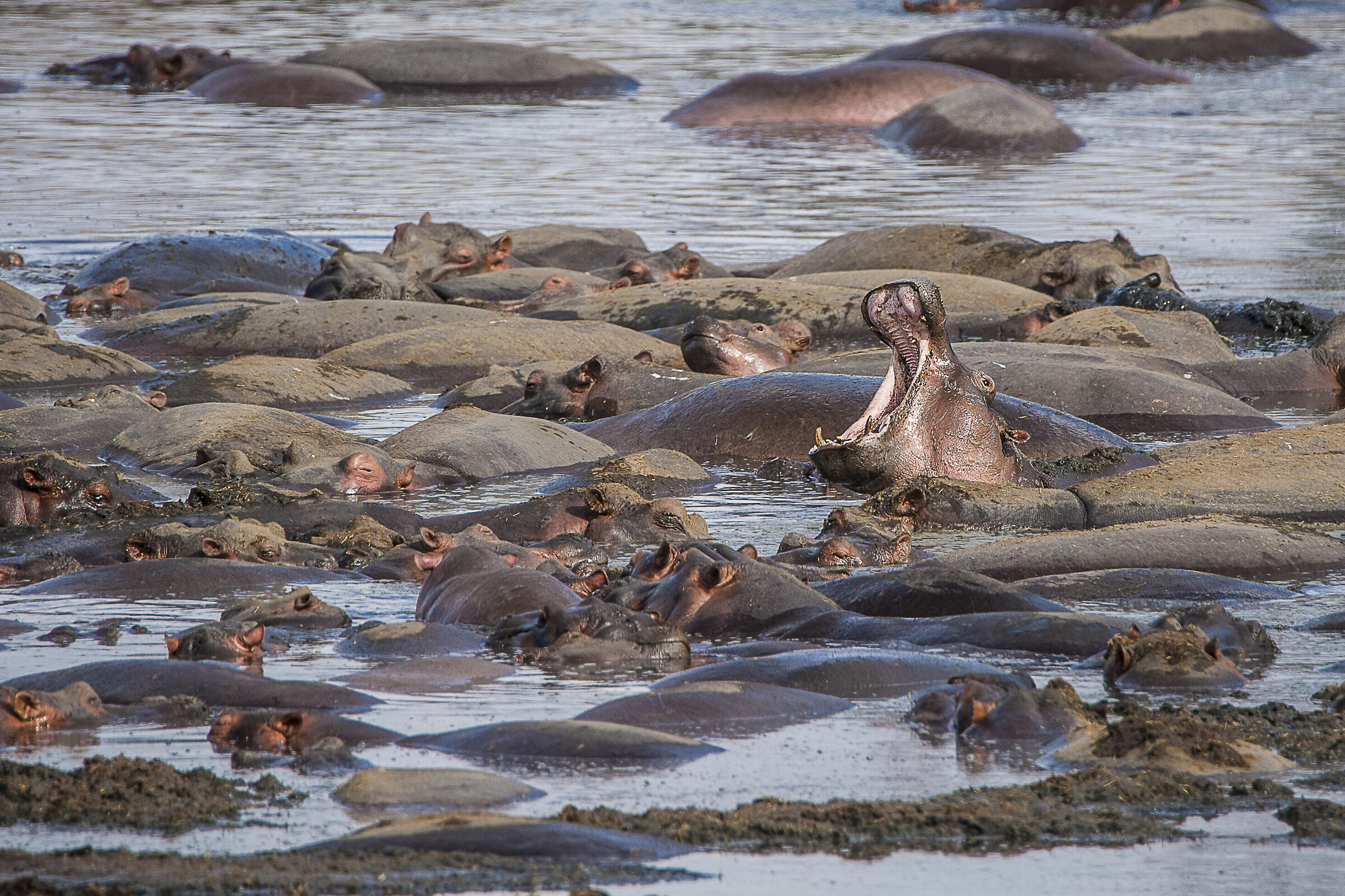 Rimanere a bocca aperta