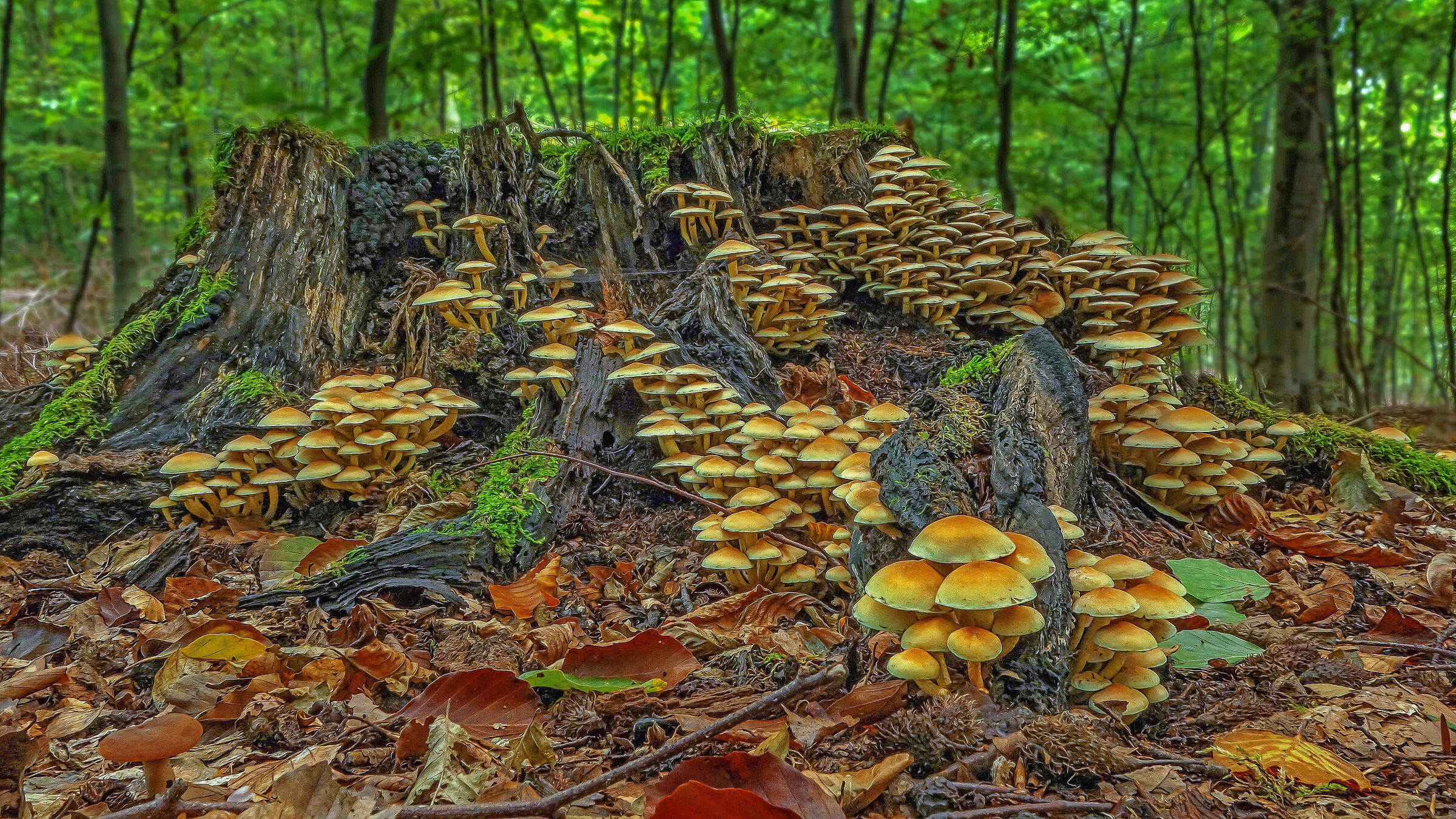 Quando usciremo ci saranno già ?