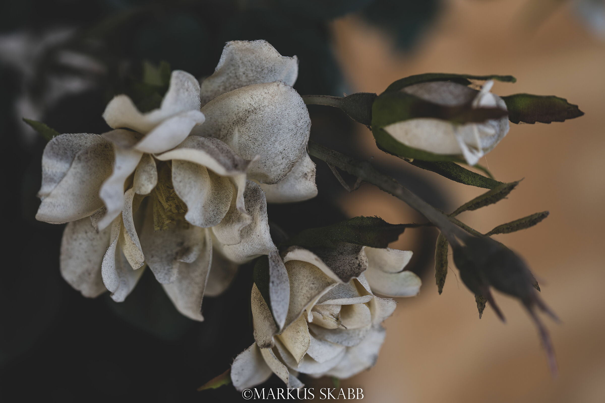 Il ricordo del NON ricordo