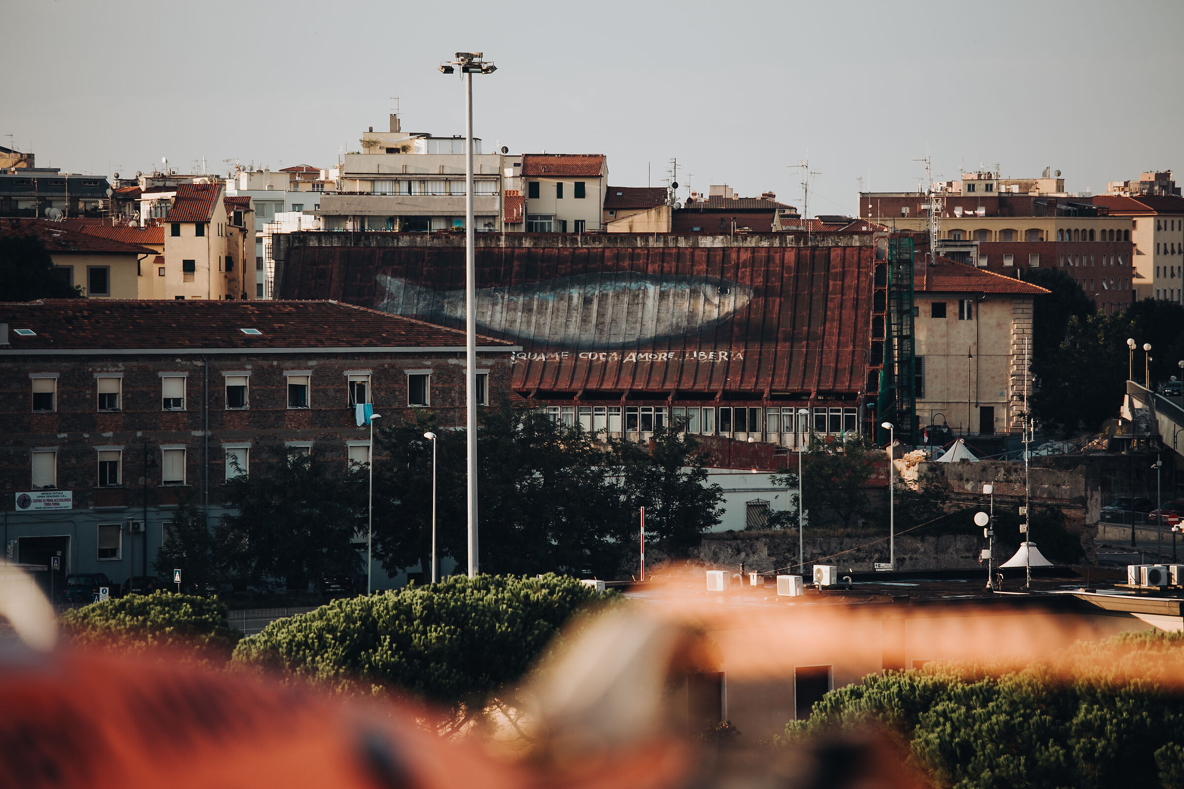 Lische, squame, coda, amore, libertà - Livorno