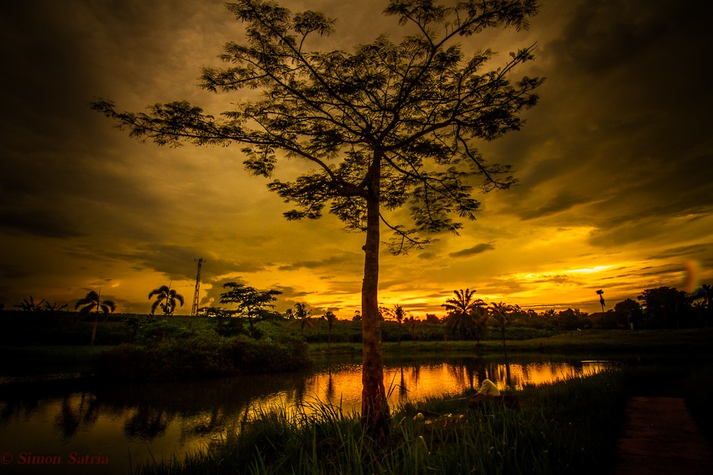 Sotto il tramonto ....