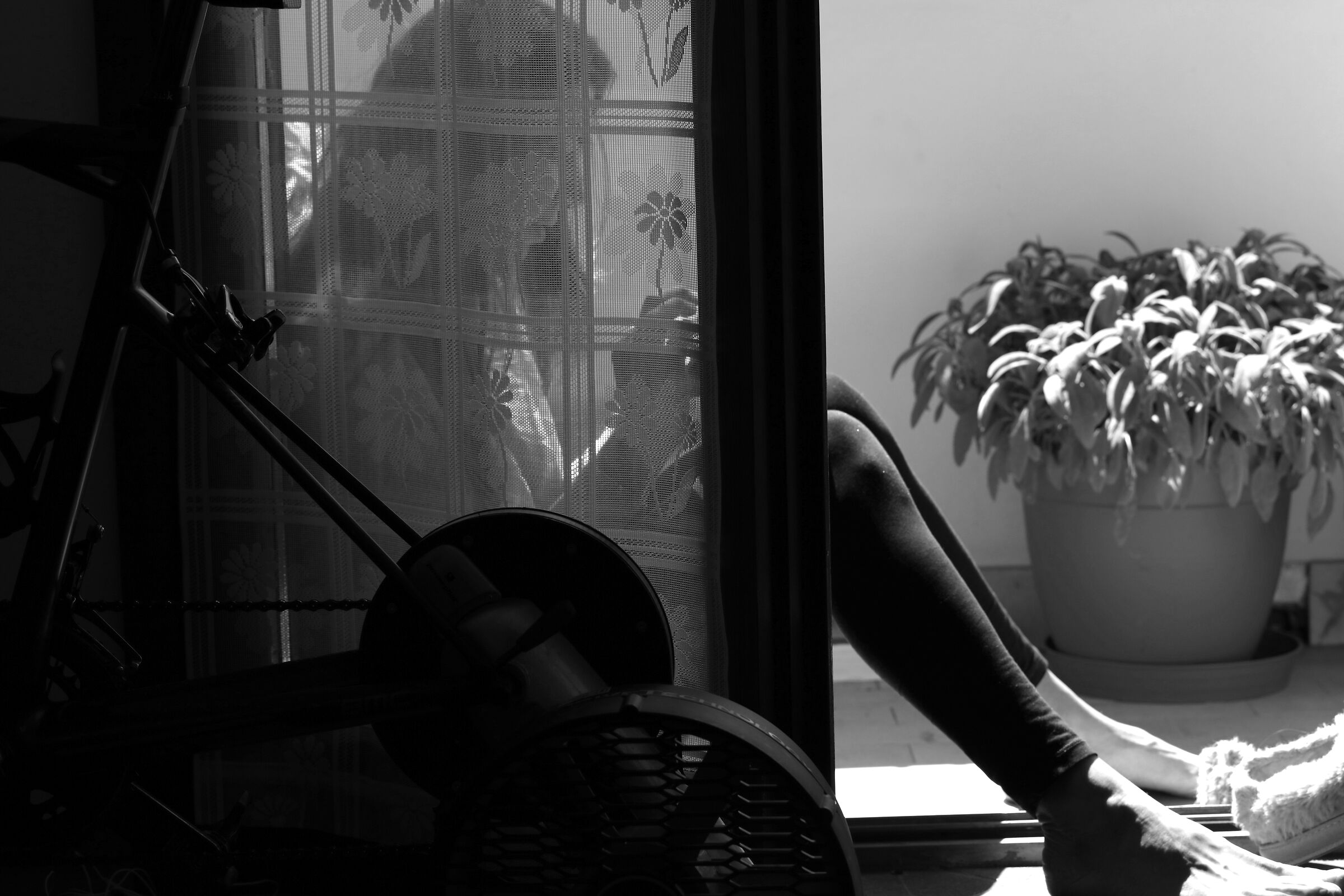 Le mie passioni in uno scatto