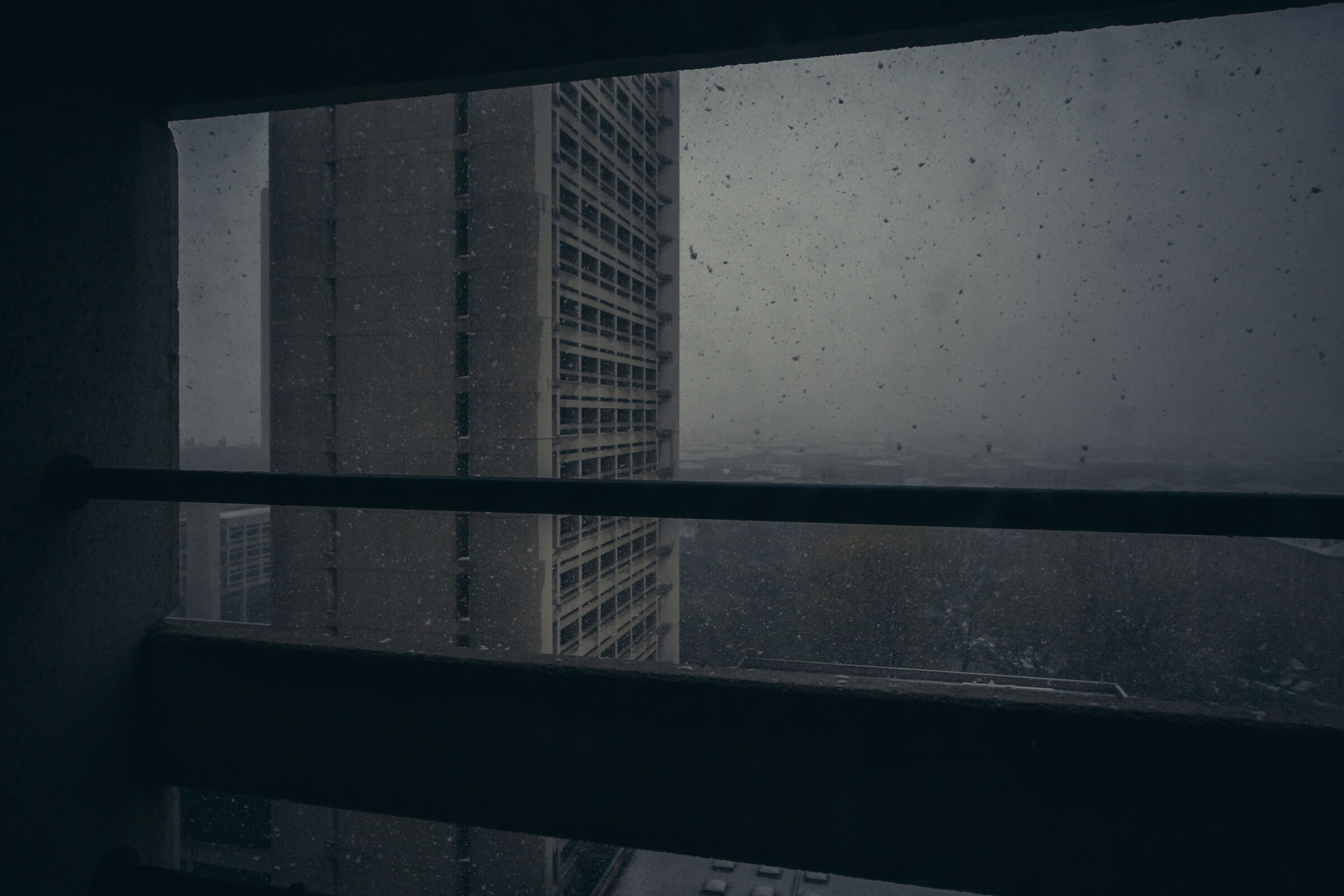 Snow - Palace of the Region, Bologna