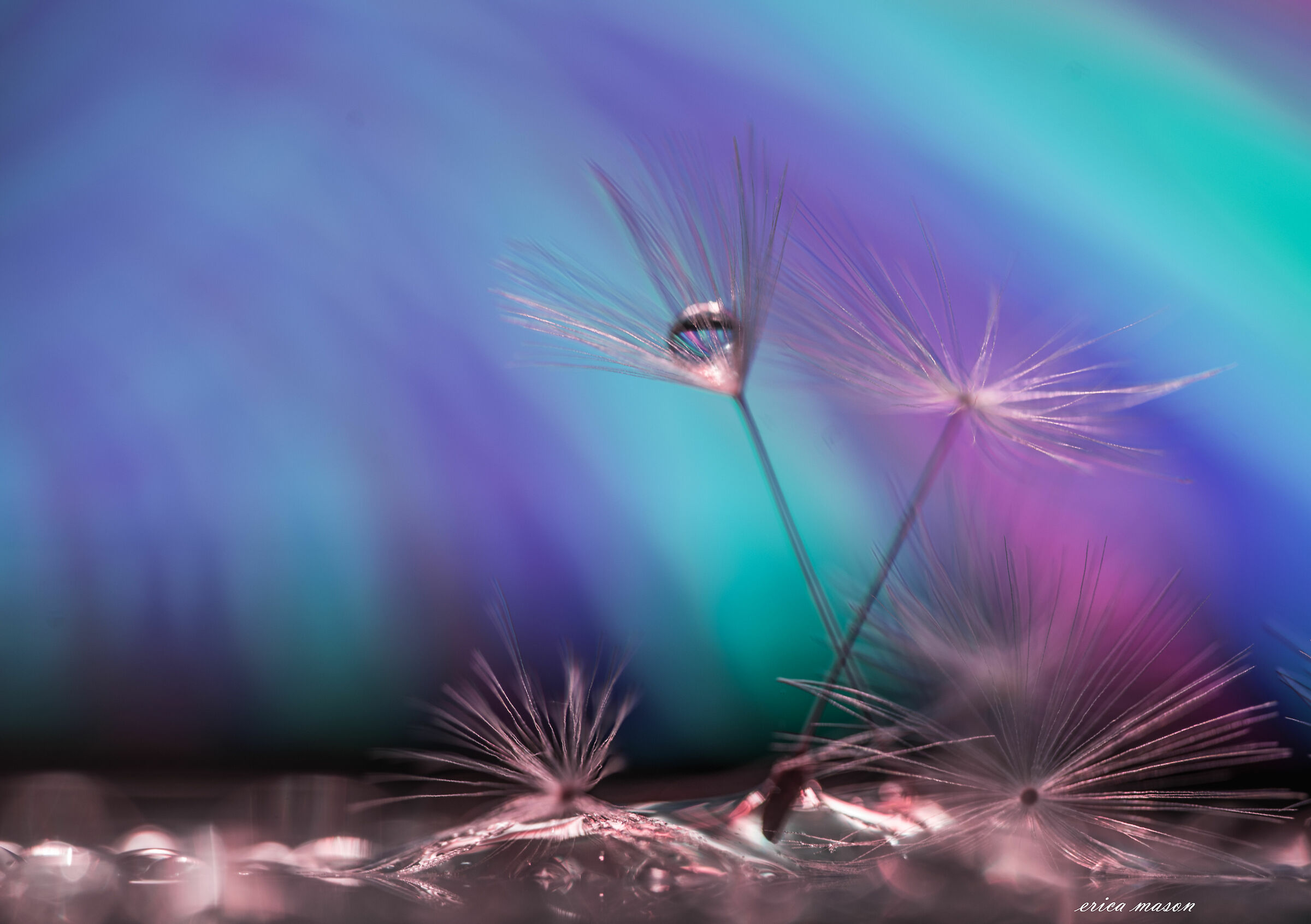 In search of color
