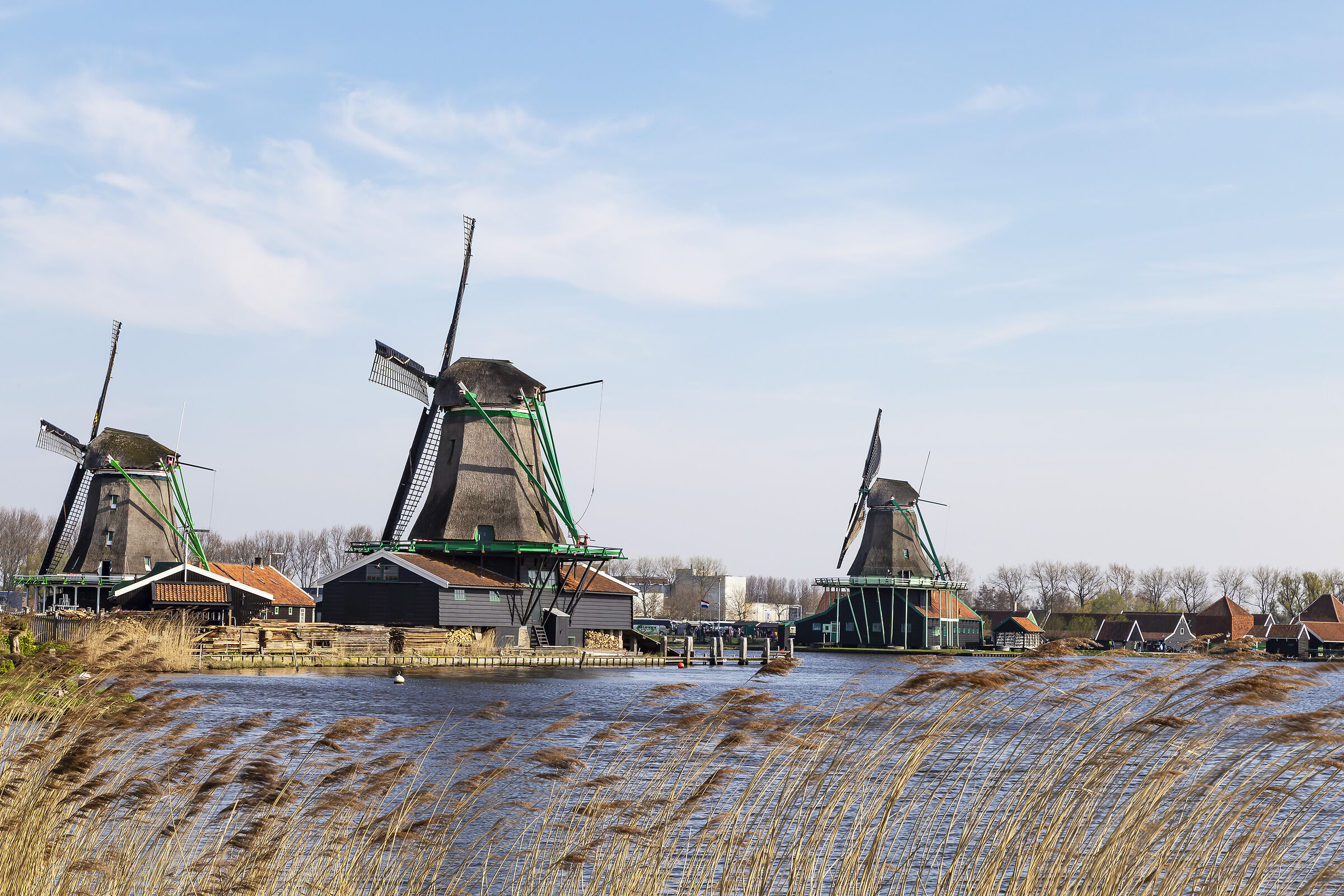 Mulini a vento a Zaanse Schans