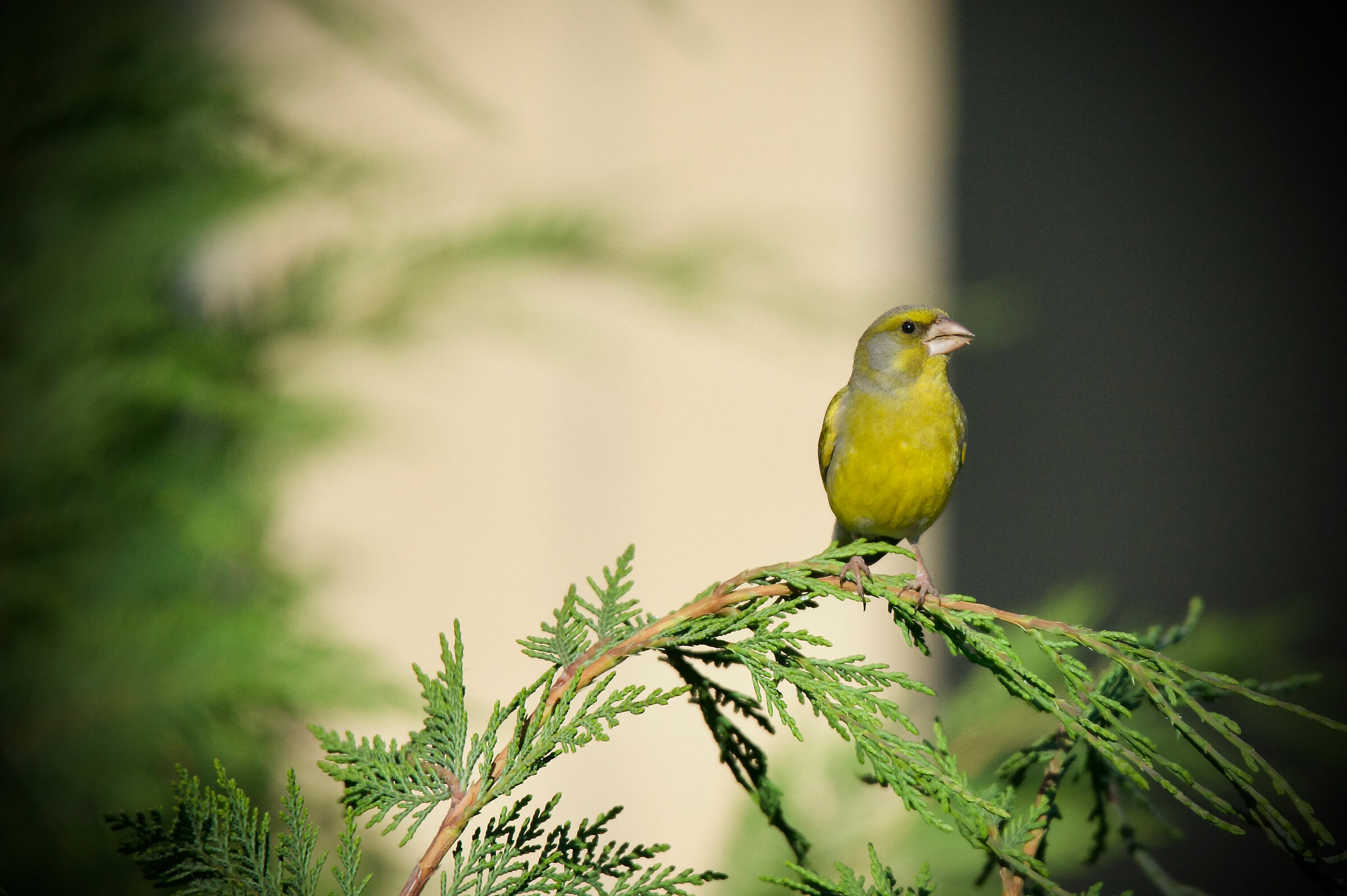 Breakfast in company