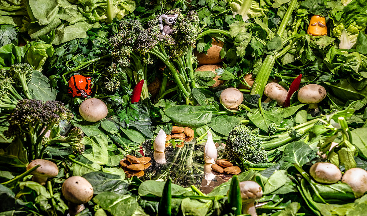 Io pasquetta al laghetto dopo la tempesta..