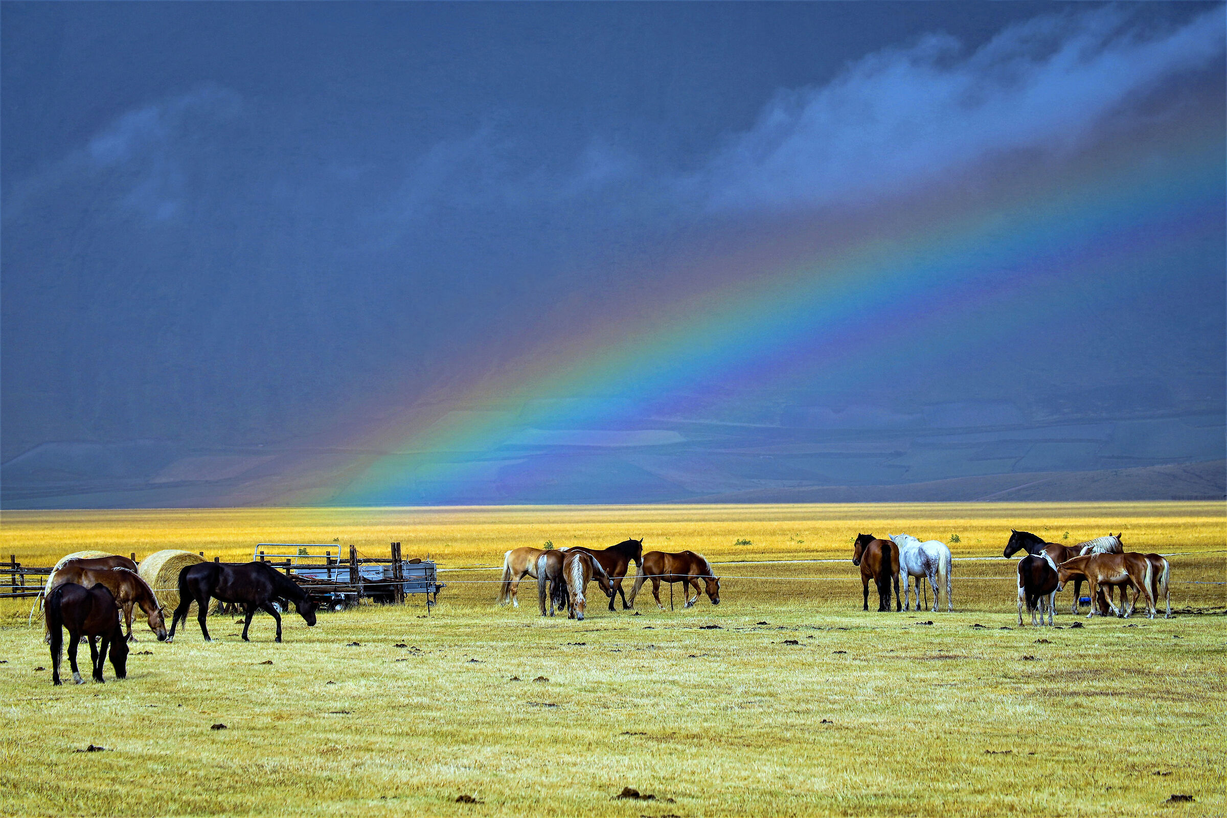 ... then returned the serene