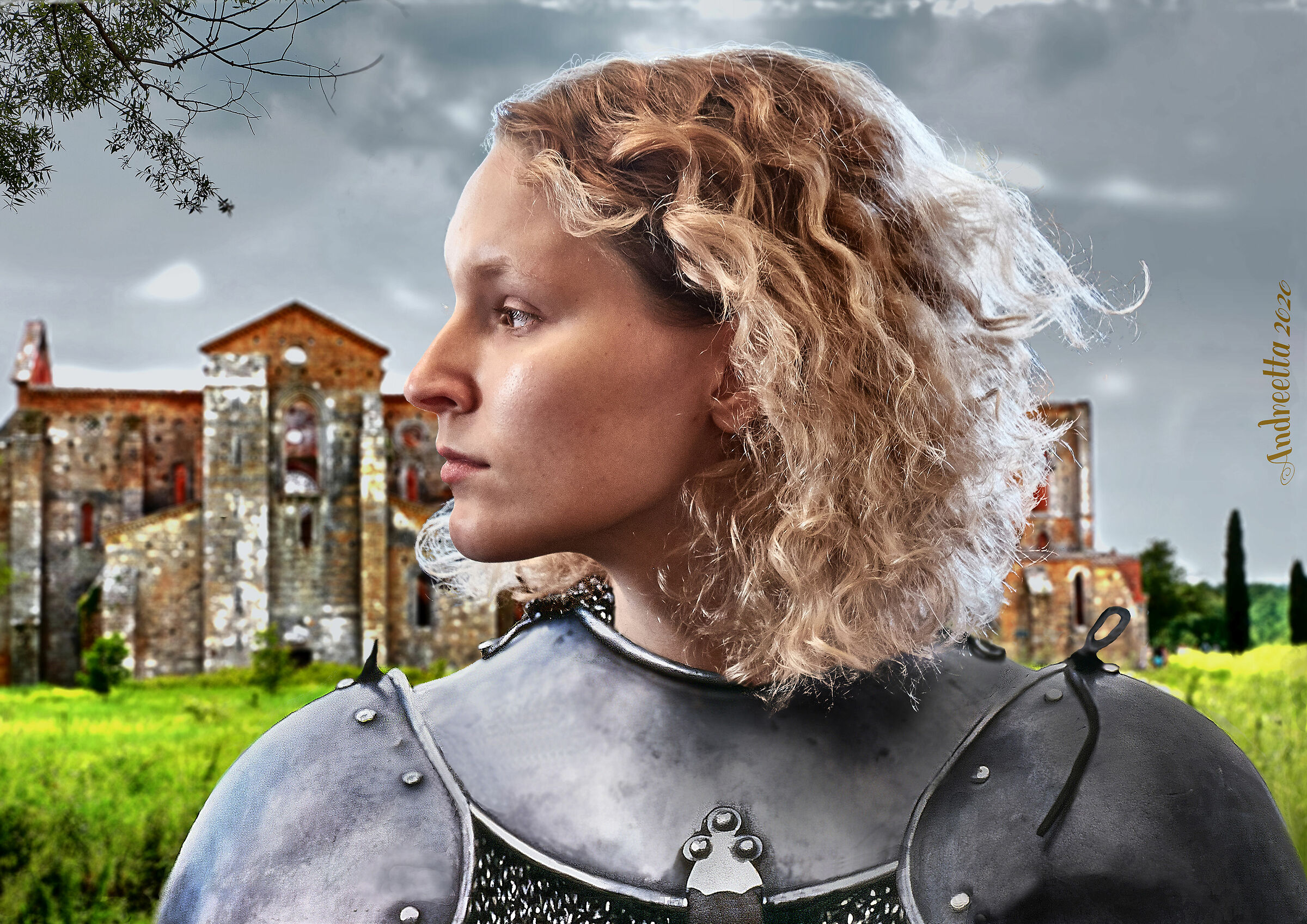 the orléans pucelle