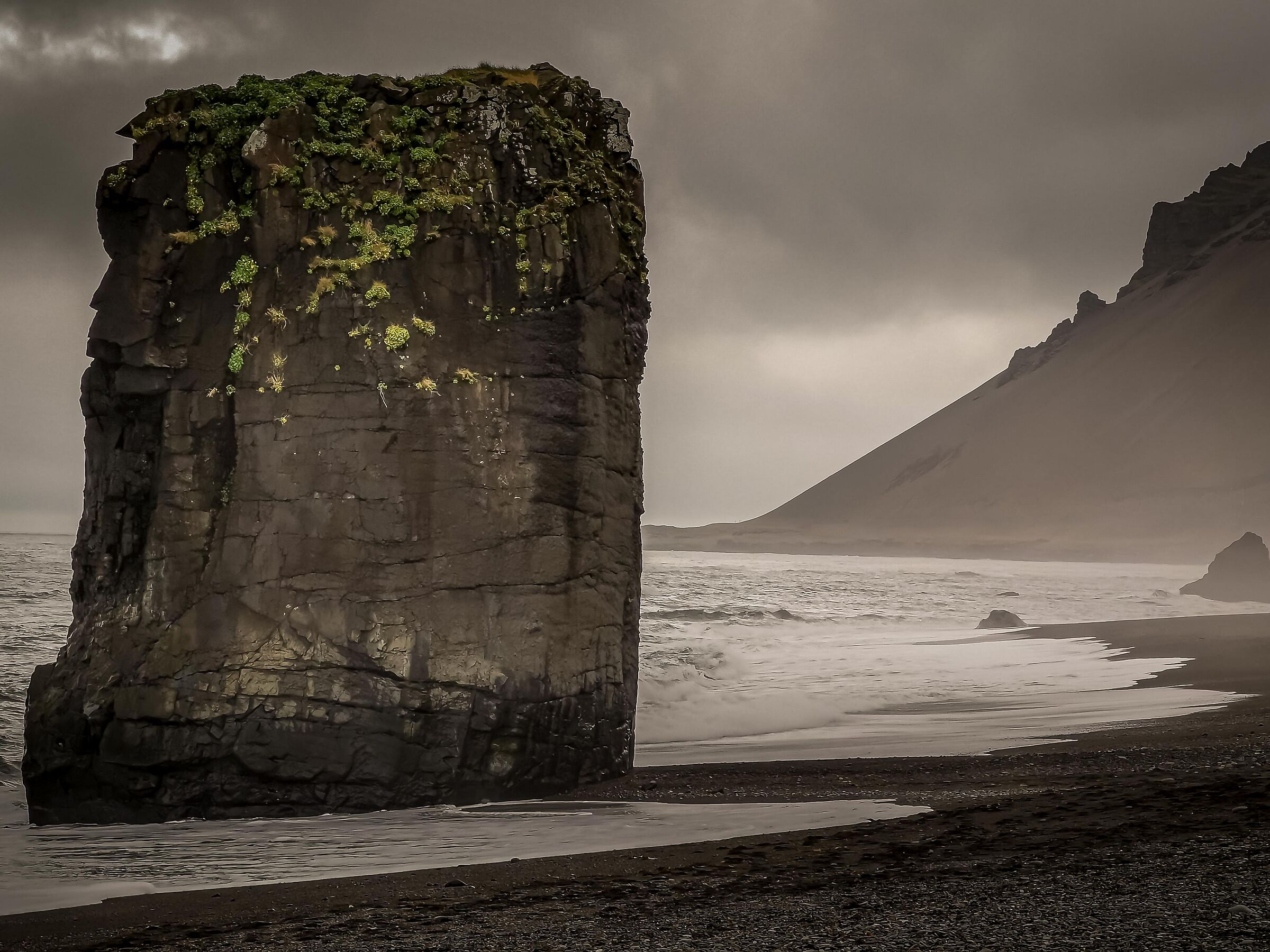 Le piante possono crescere sulle rocce? Sì!