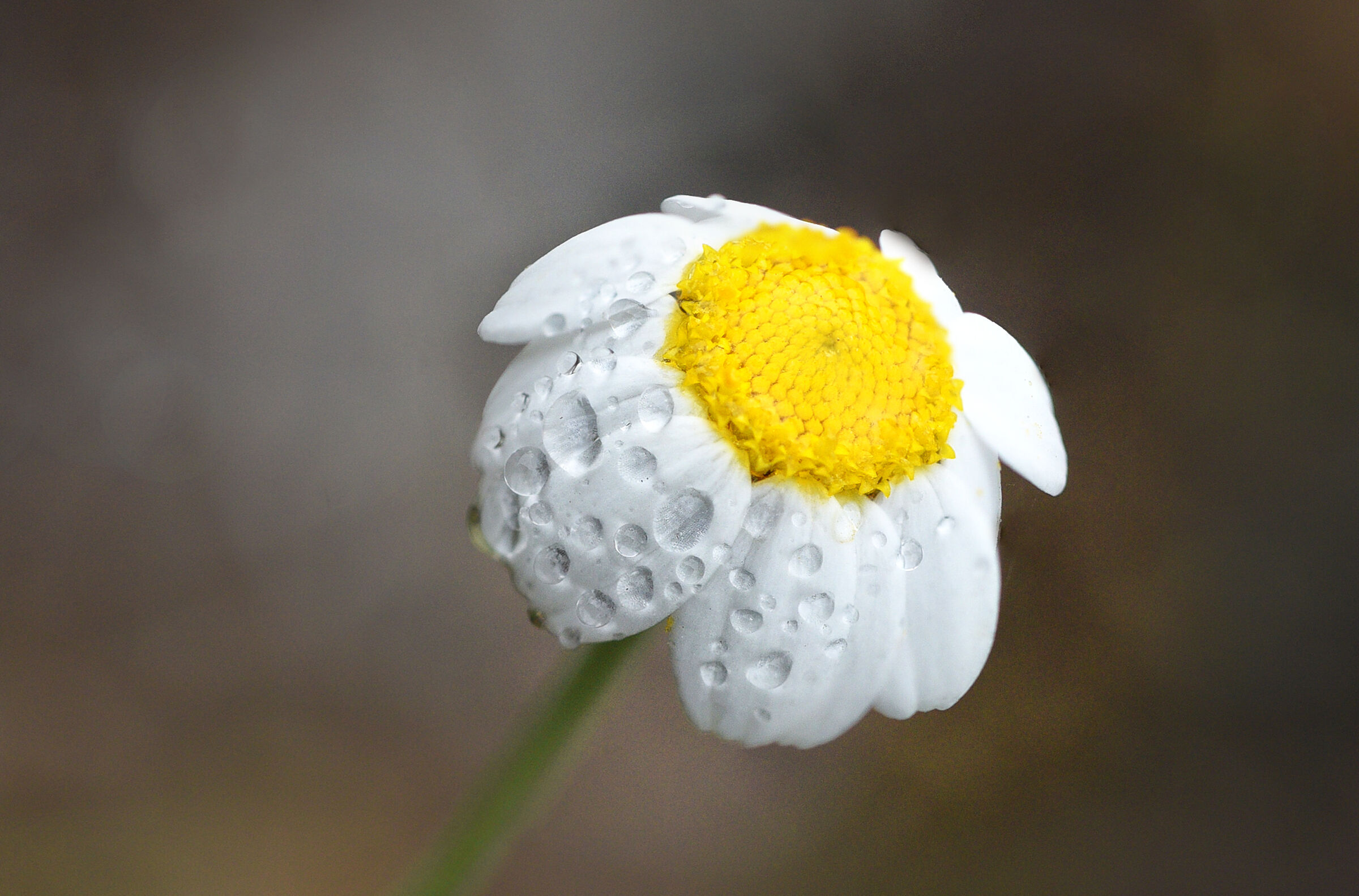 Proud and Happy to Be Among You