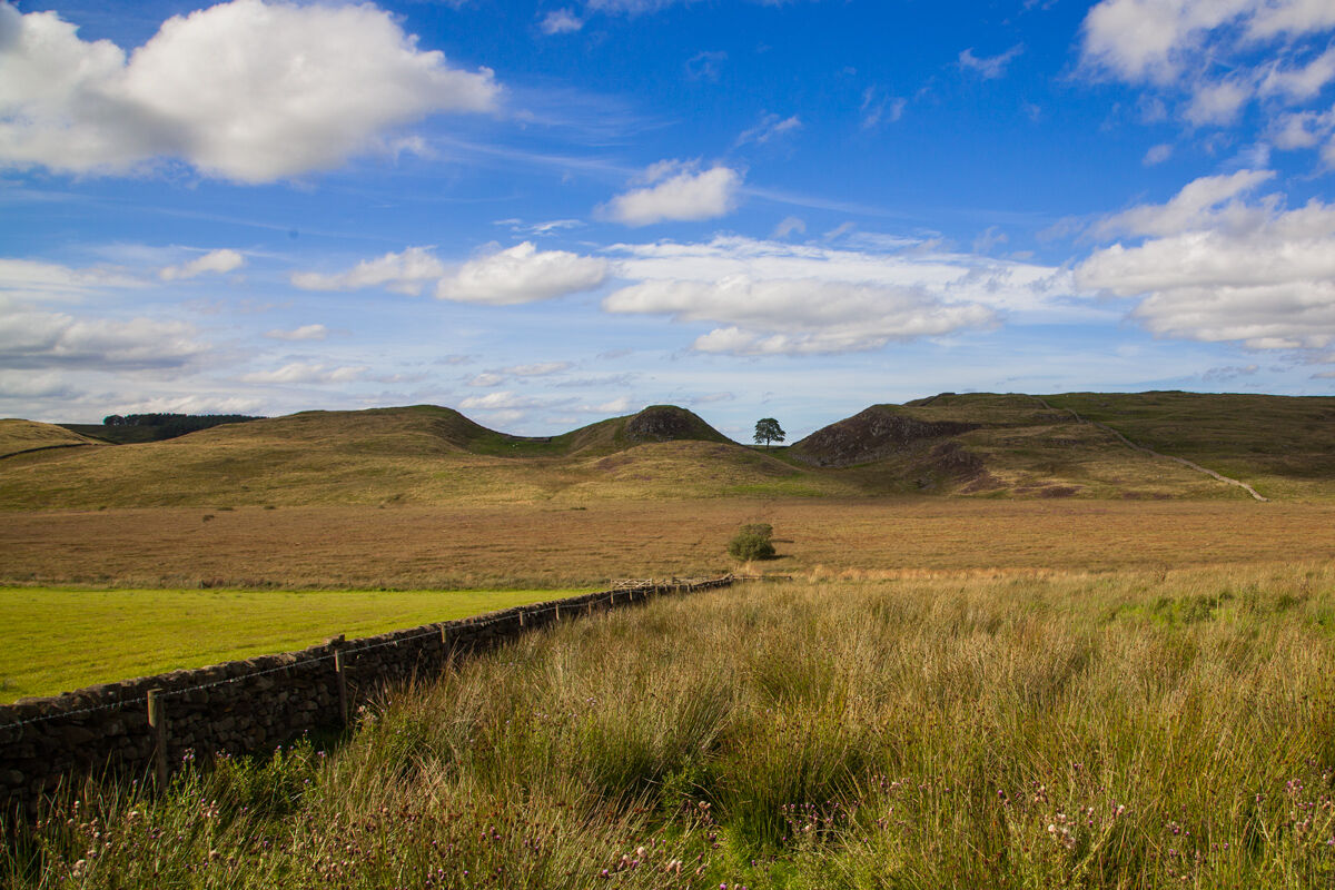 Sycomore Gap, New York