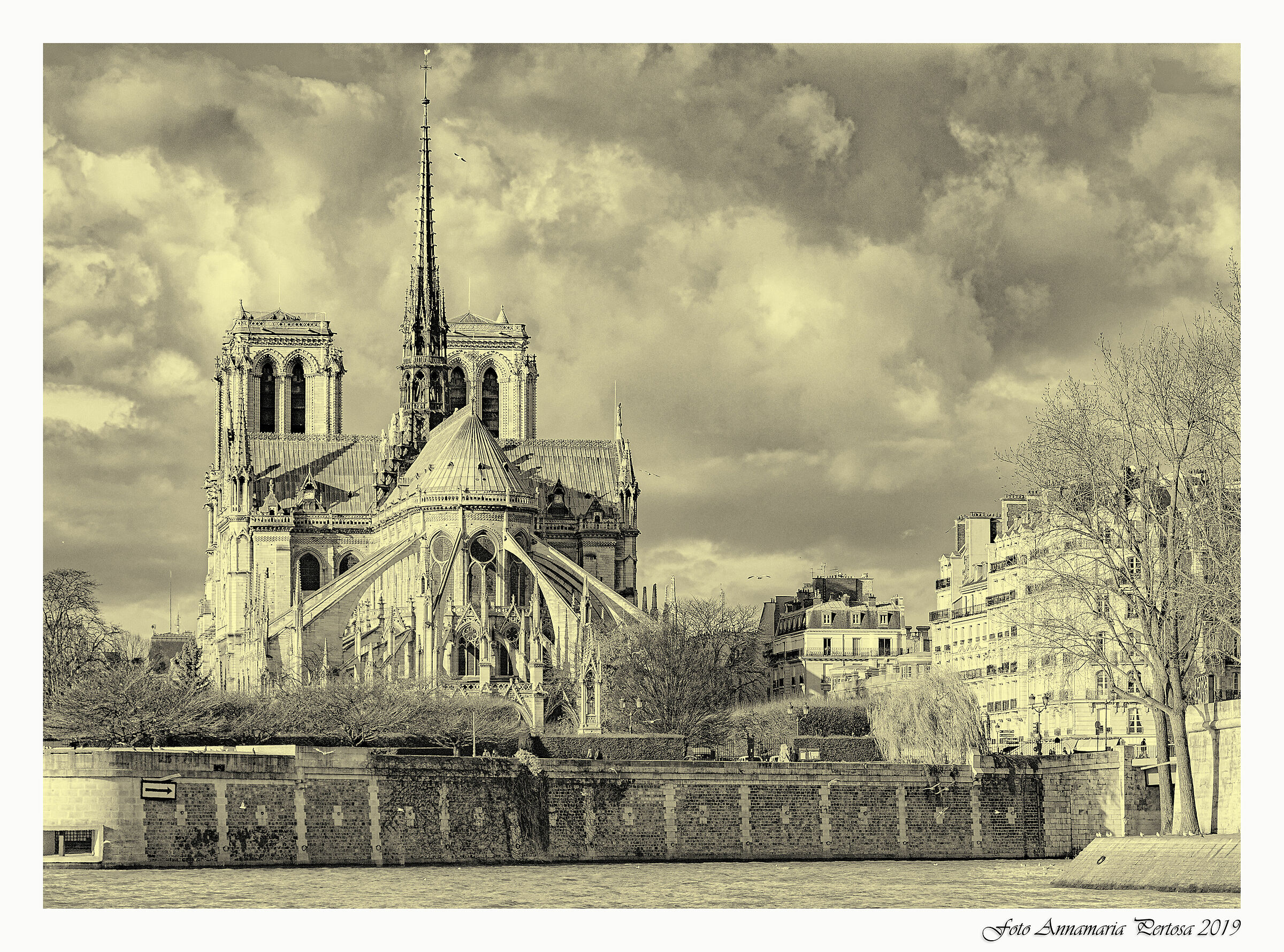 Notre Dame by Bateau Mouche