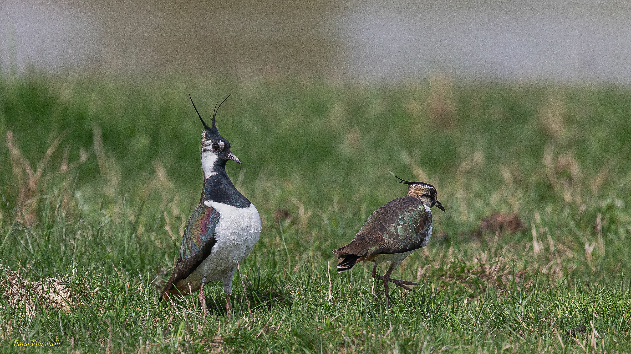 I'm the most beautiful