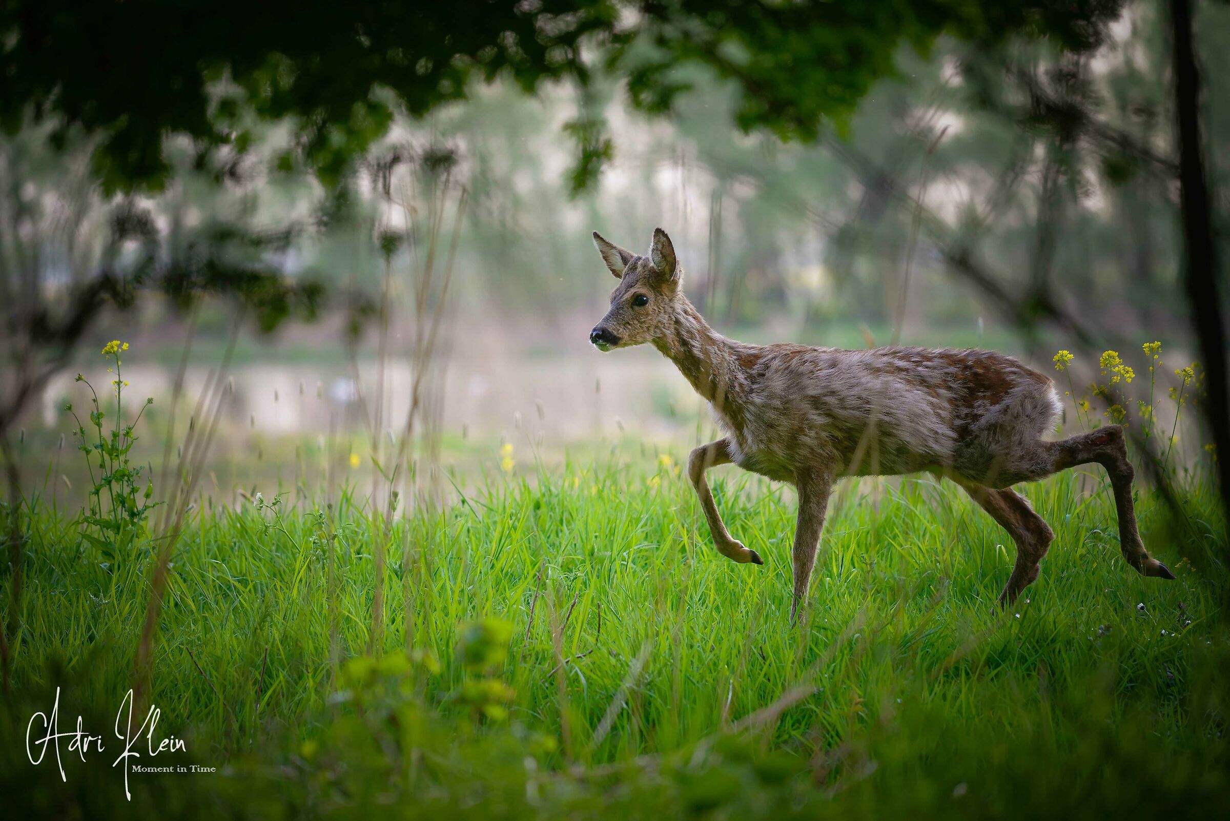 Just walking in my frame