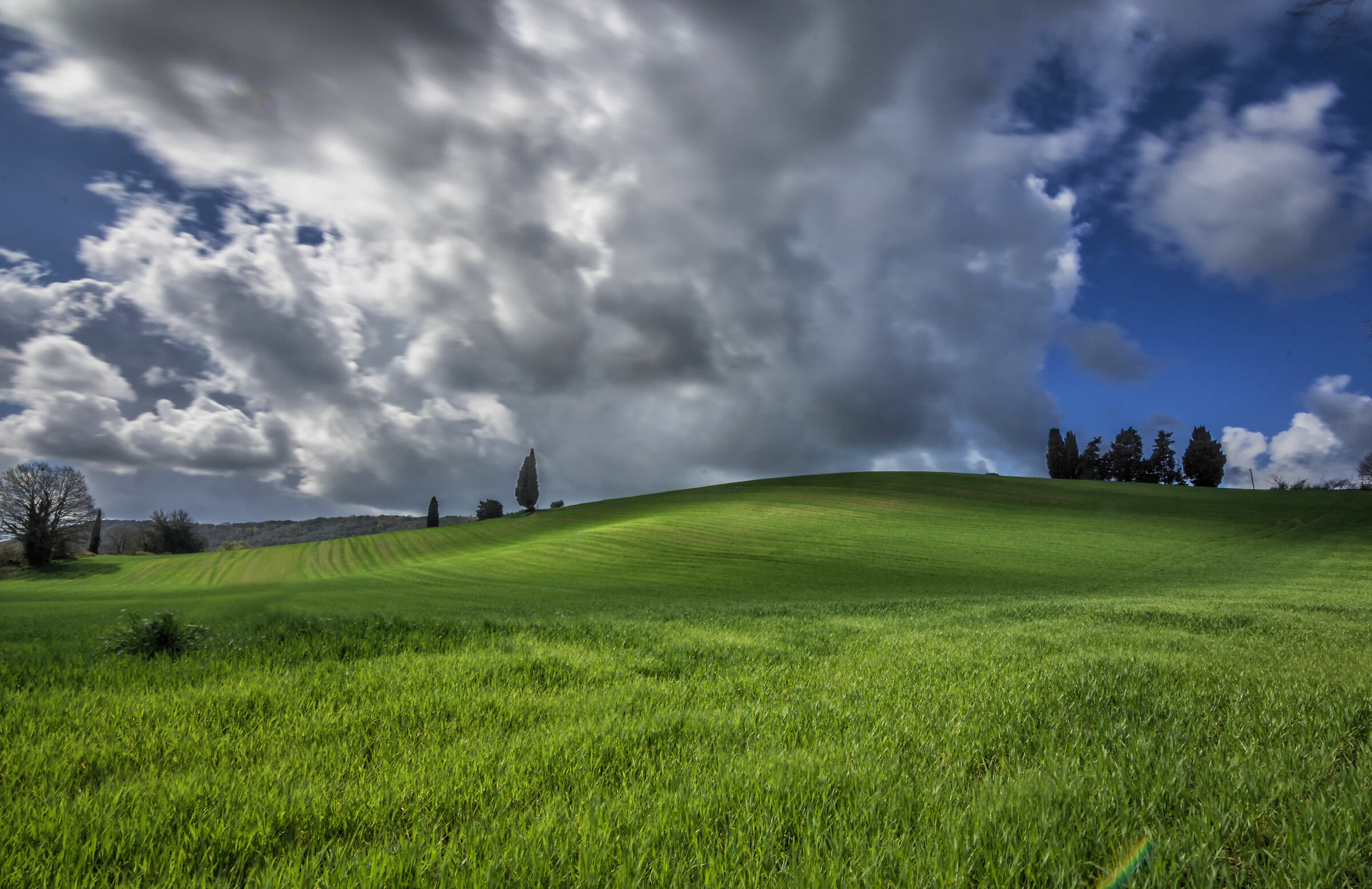 Scorcio paesaggio Collesalvetti