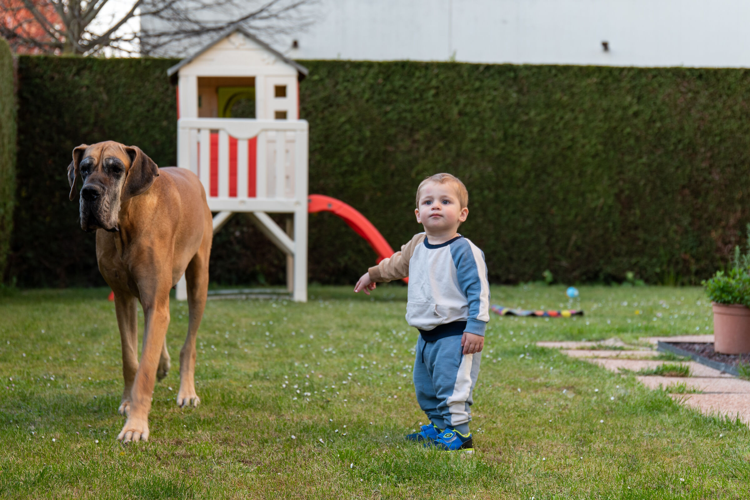 Il piccolo ed il gigante