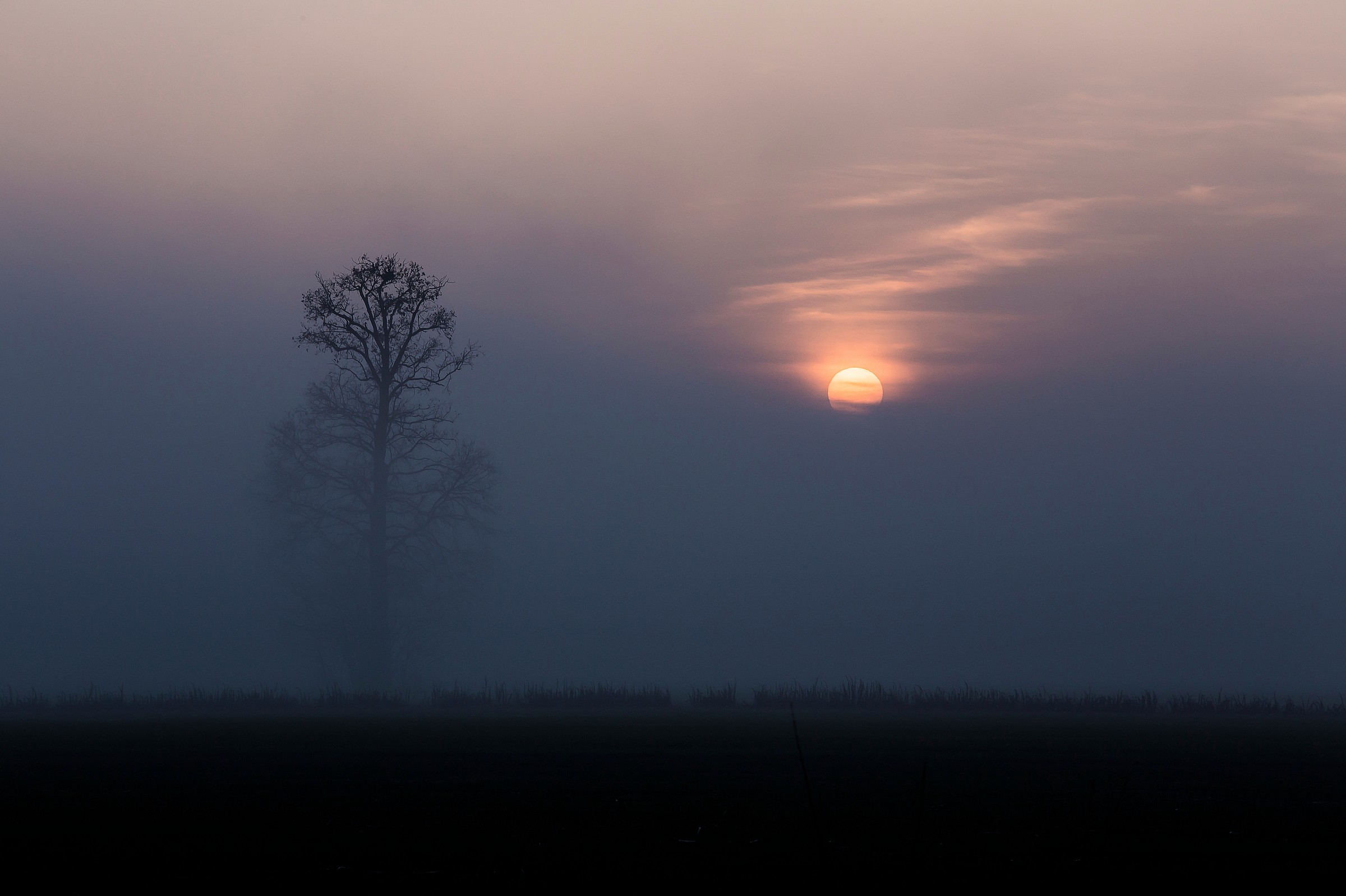 between fog and sun ...