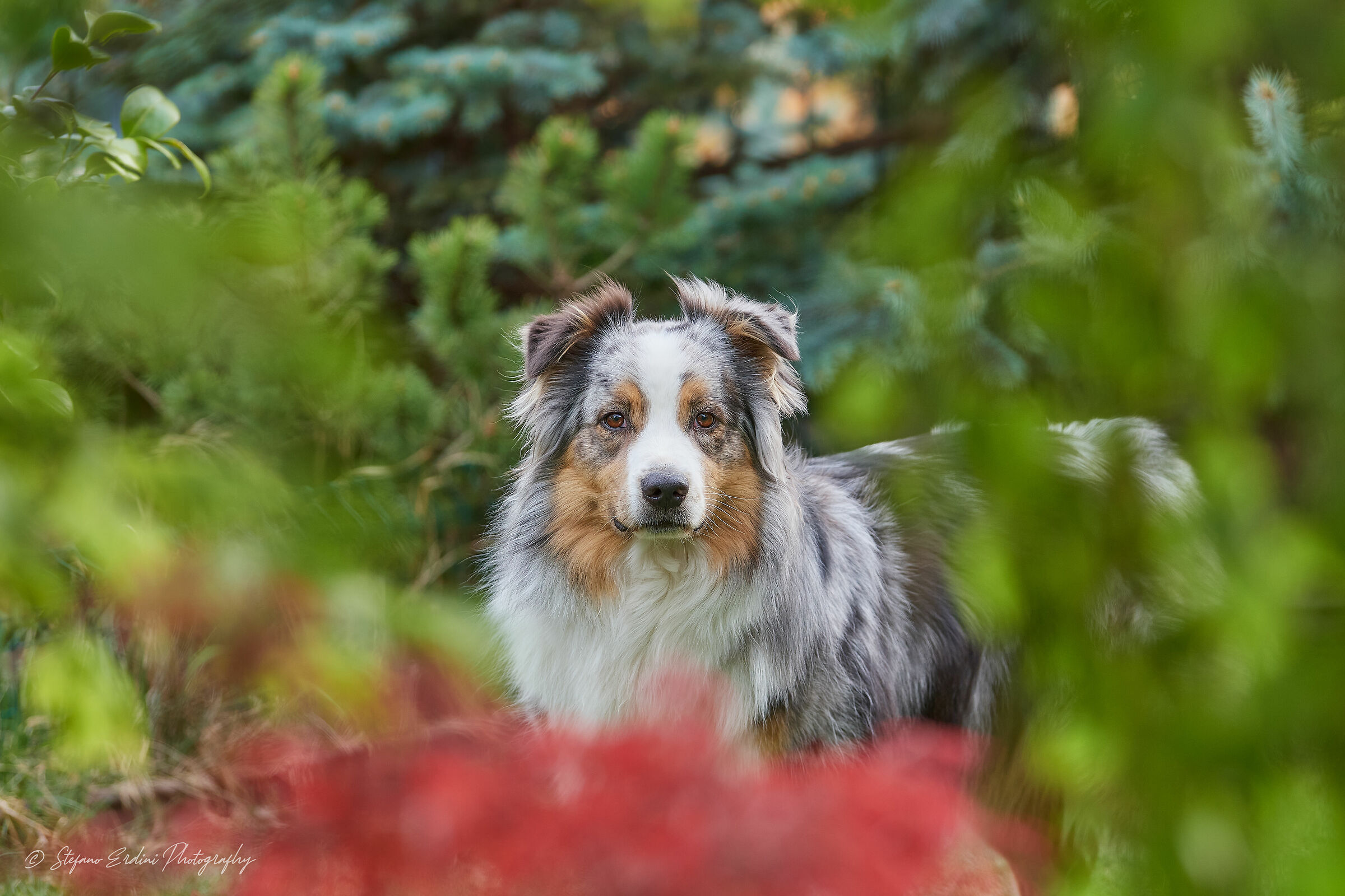 Annoiata in giardino
