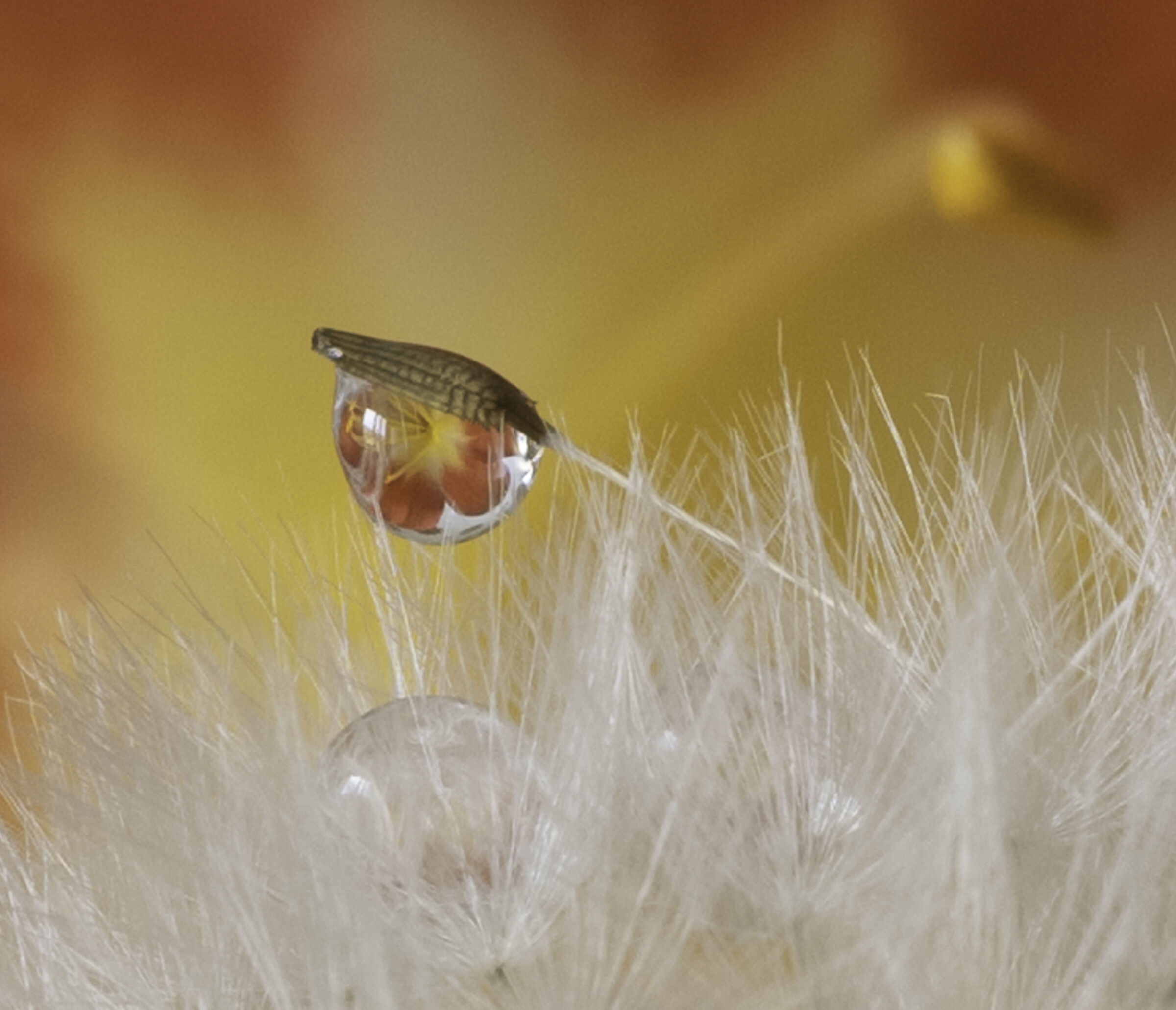 Covid-19 time_being at home_macro_2