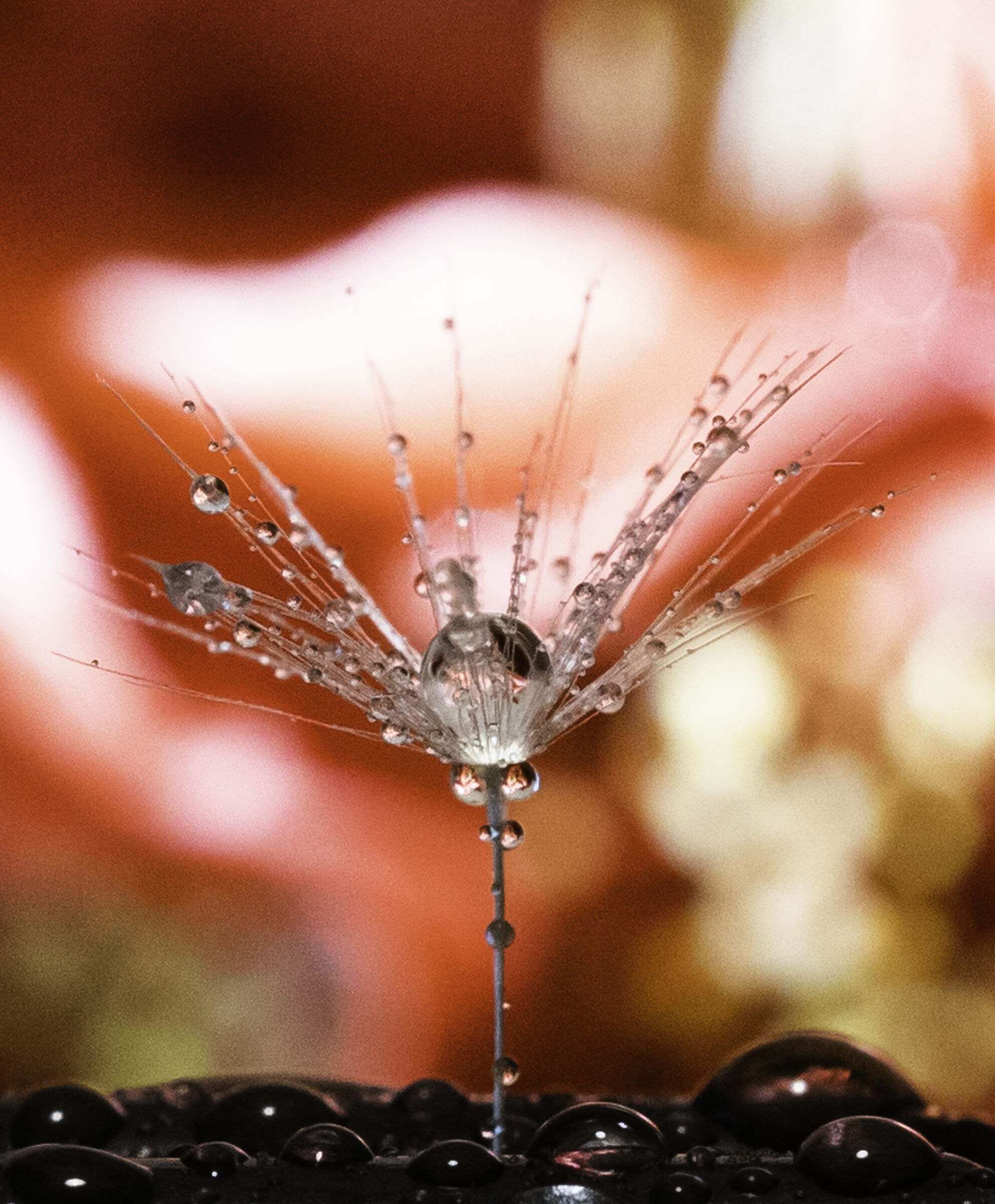 Covid-19 time_being at home_macro_3