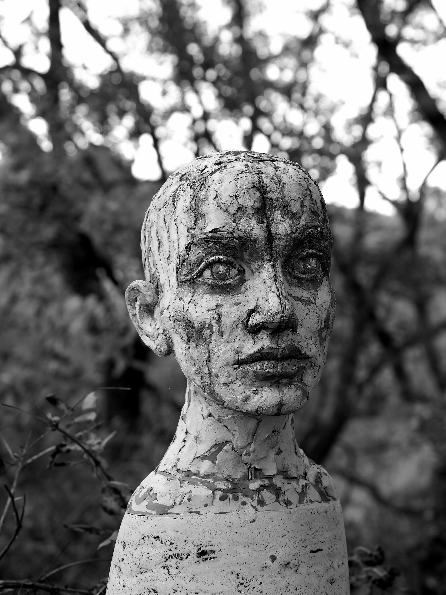 Sculture a Castelbono Bevagna