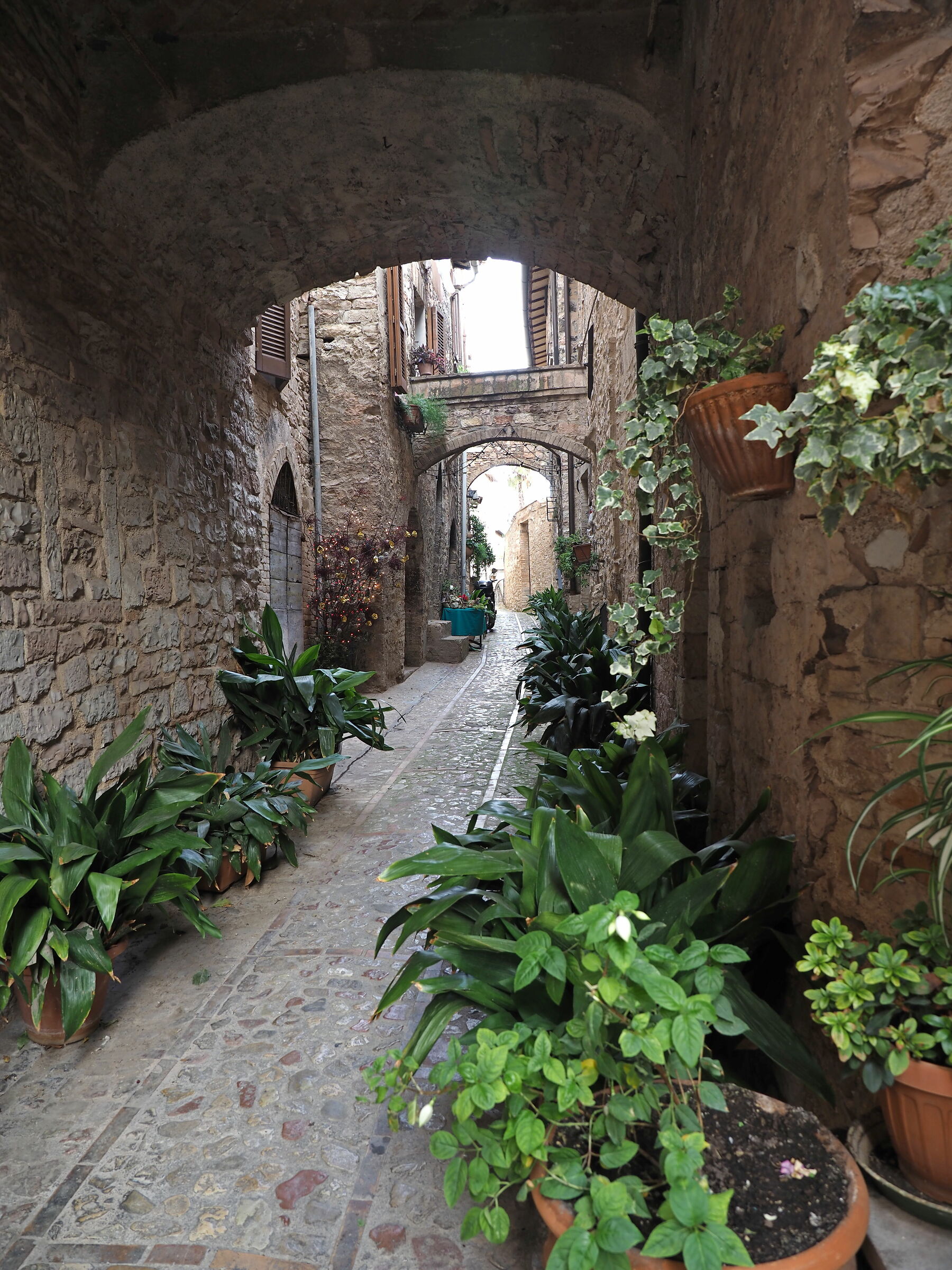 Spello