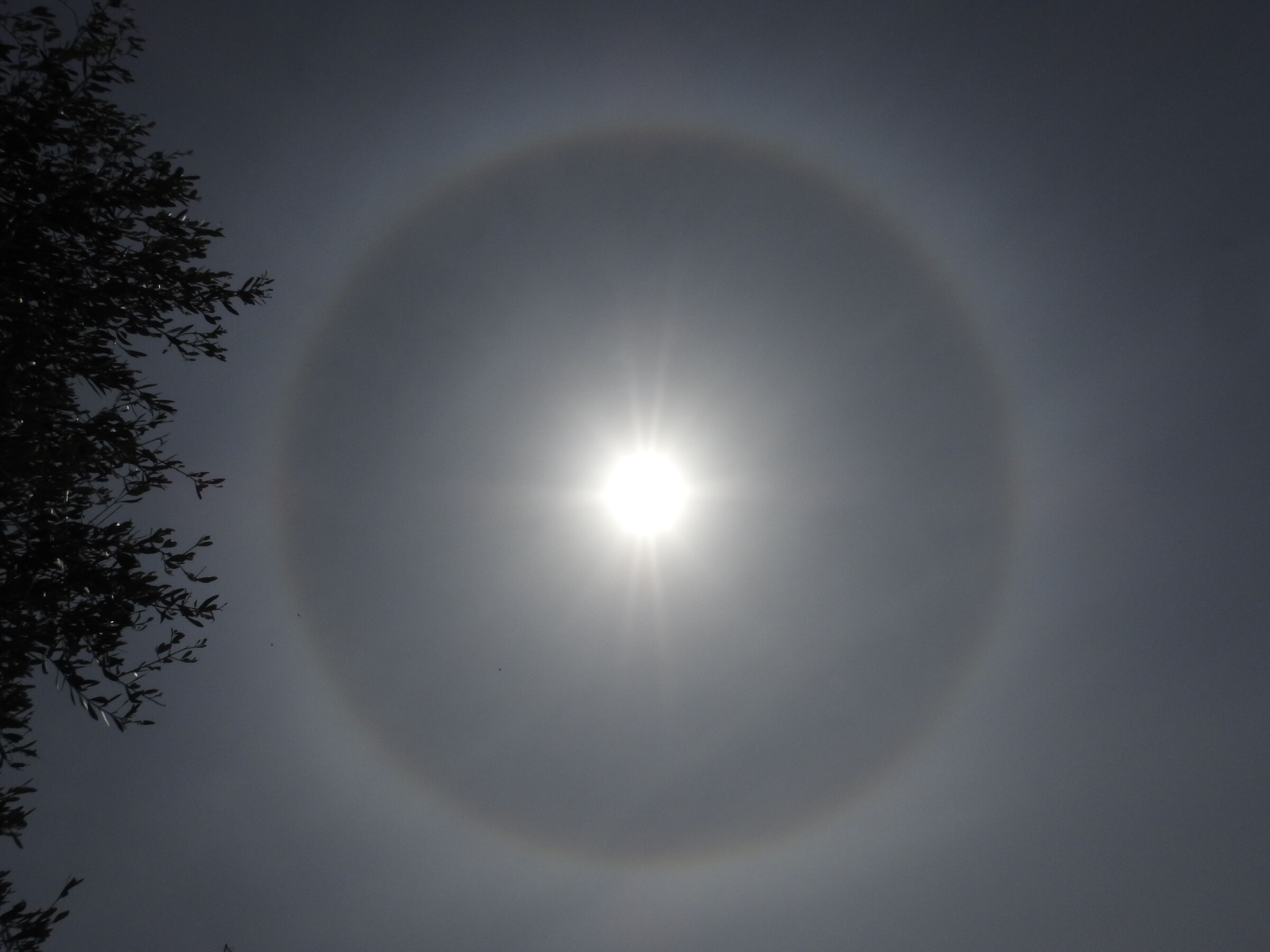 Situazione particolare ieri Genova
