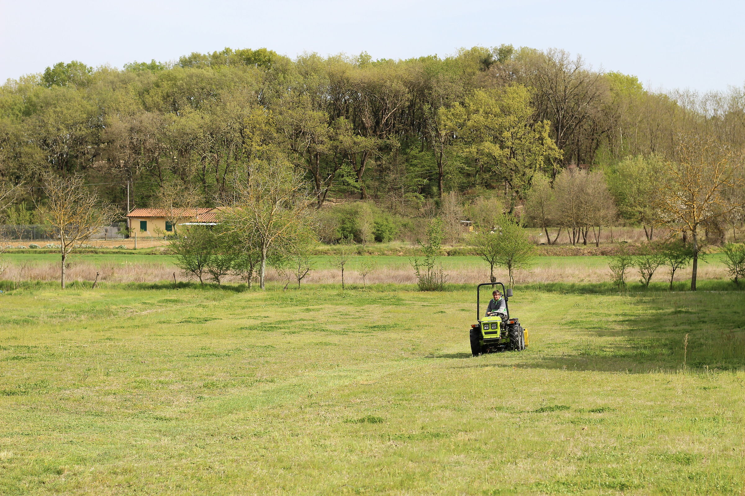The loneliness of the growers