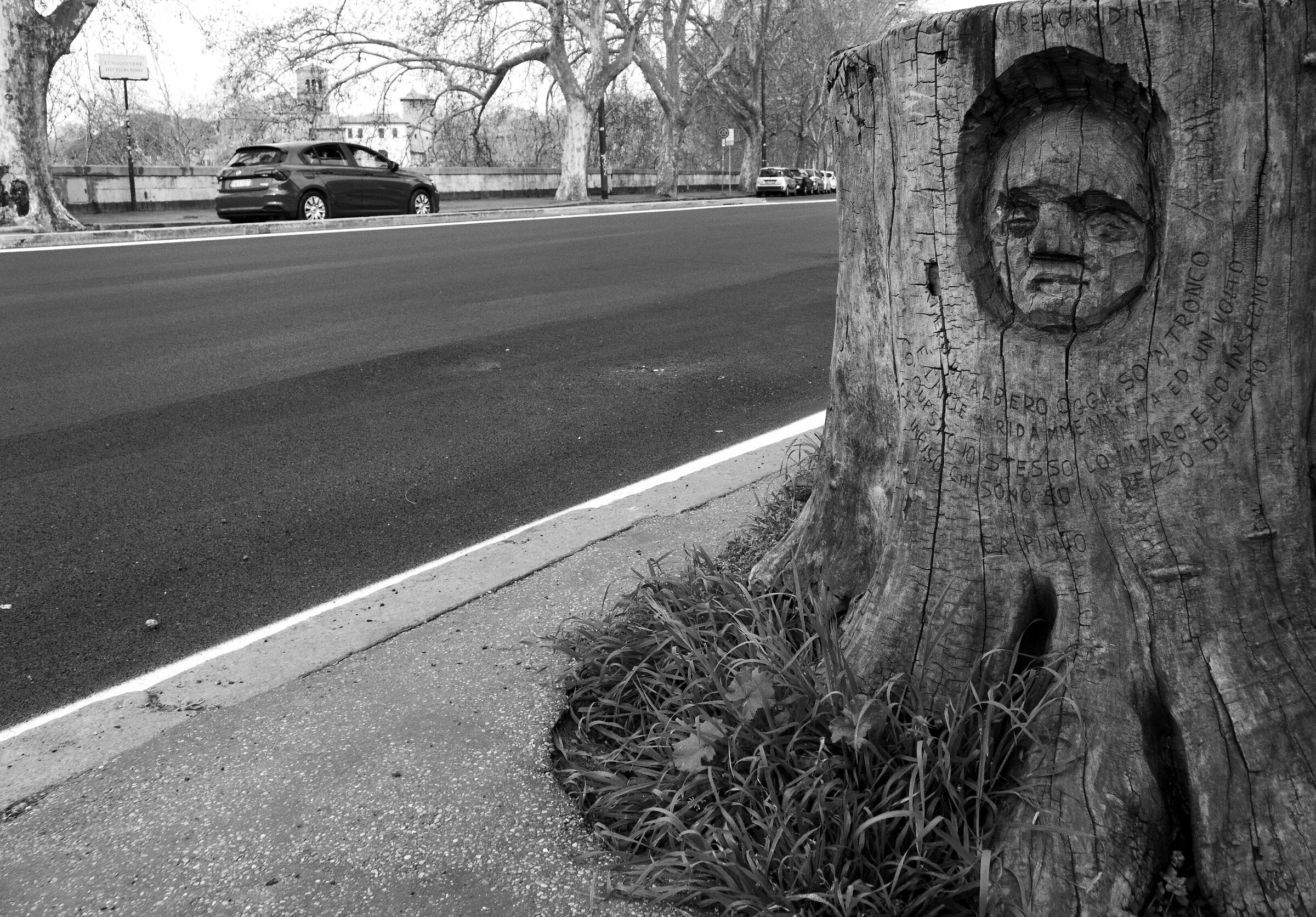 The image on the trunk