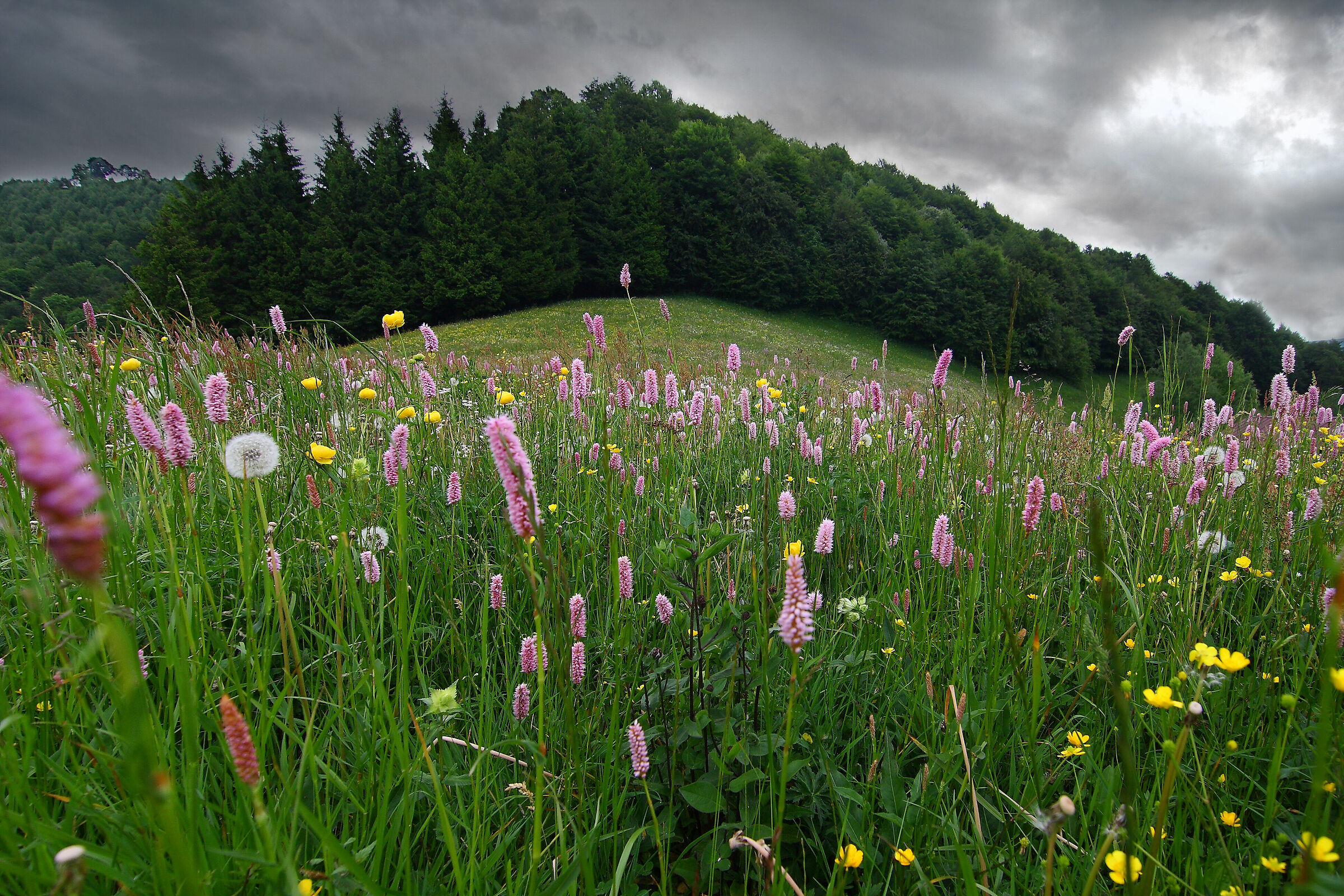 primavera in montagna