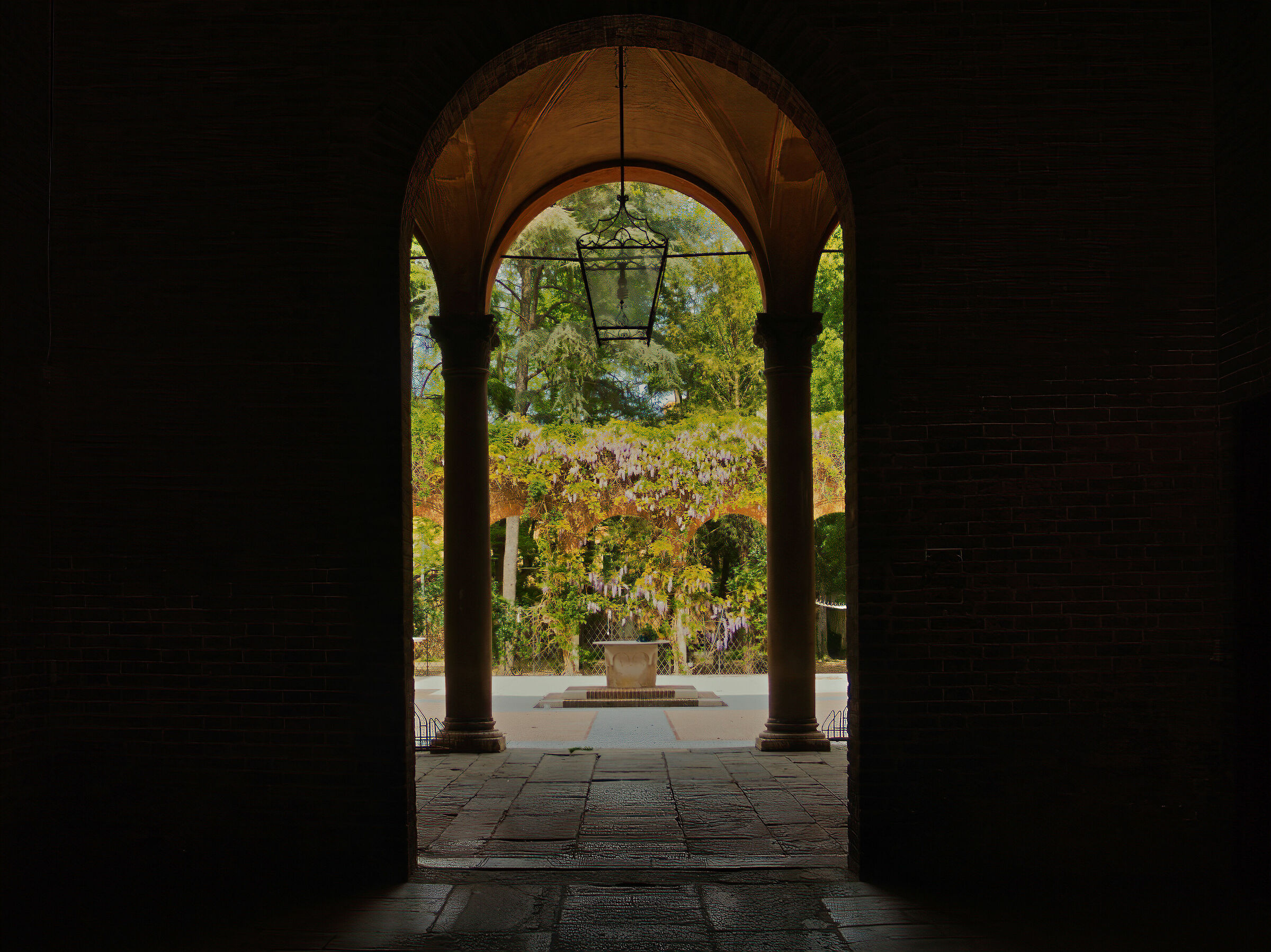 Despite everything it is Spring.