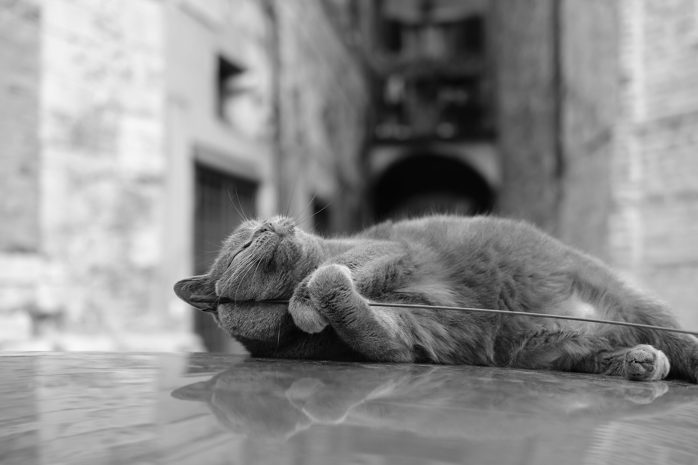Voglio vivere così...