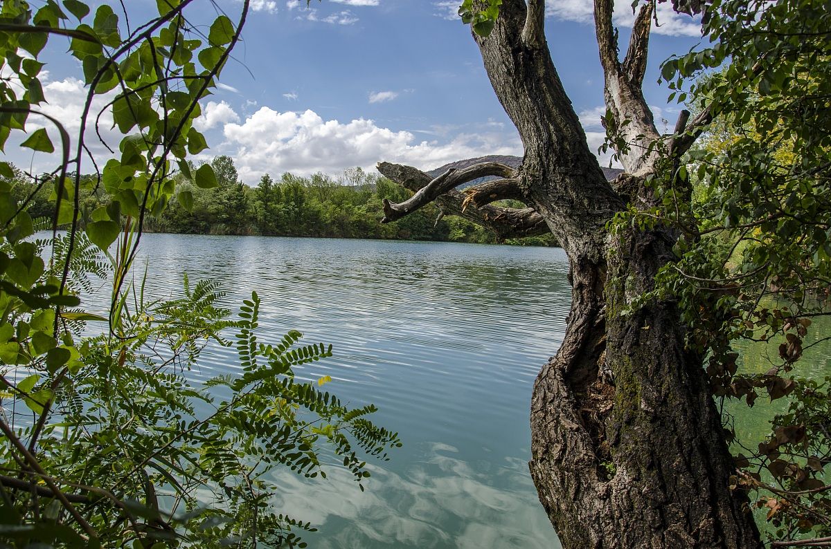 after the storm comes the calm