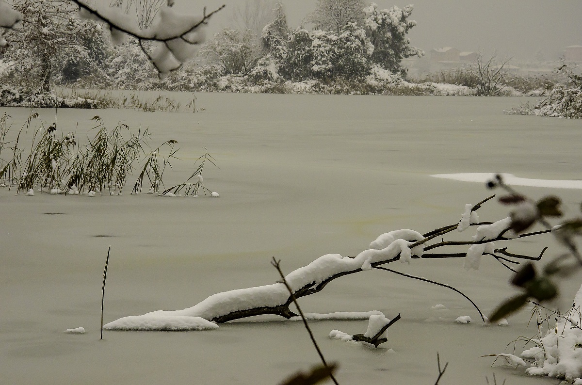 acqua allo stato solido